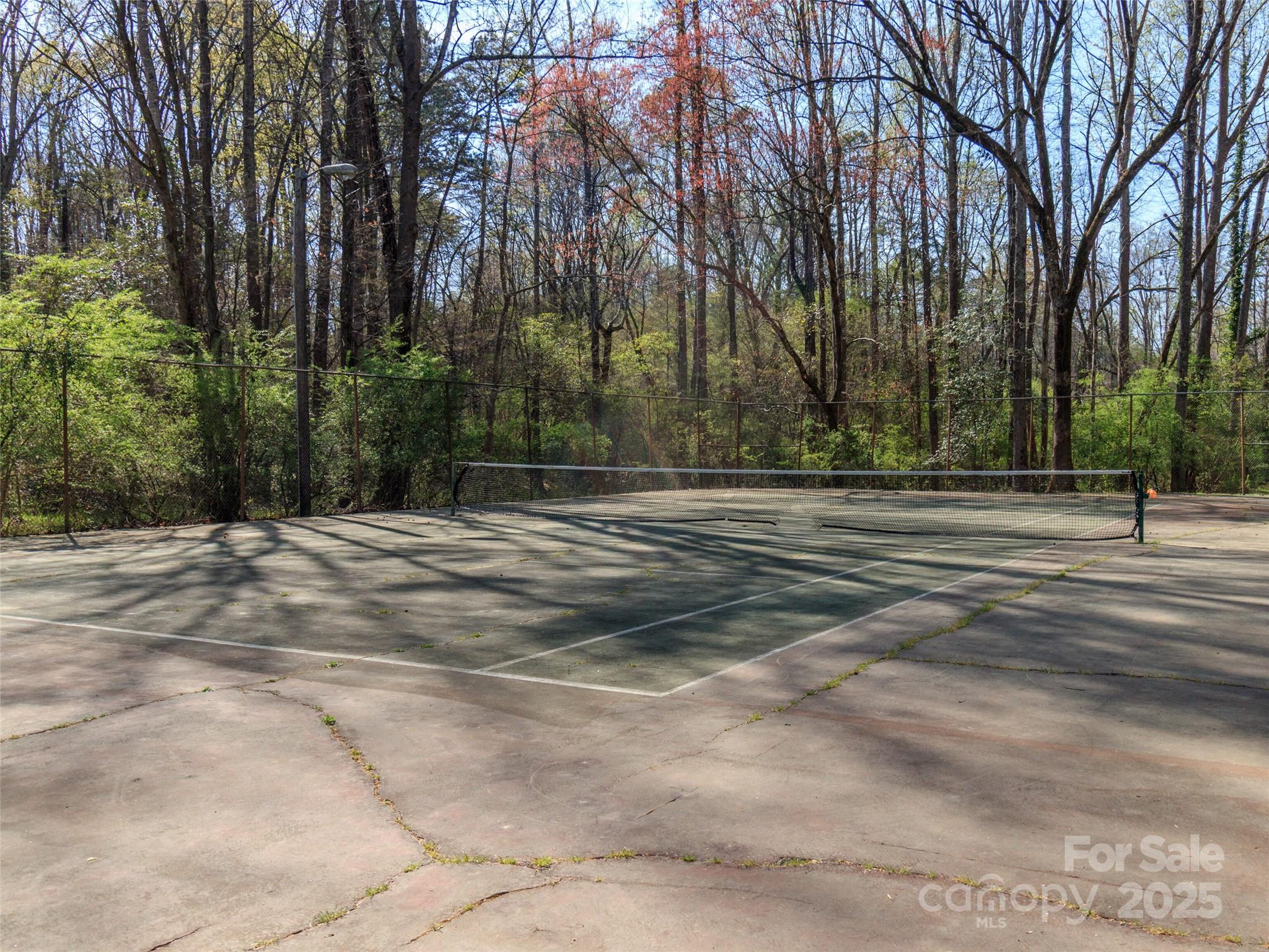 9101 Sardis Forest Drive