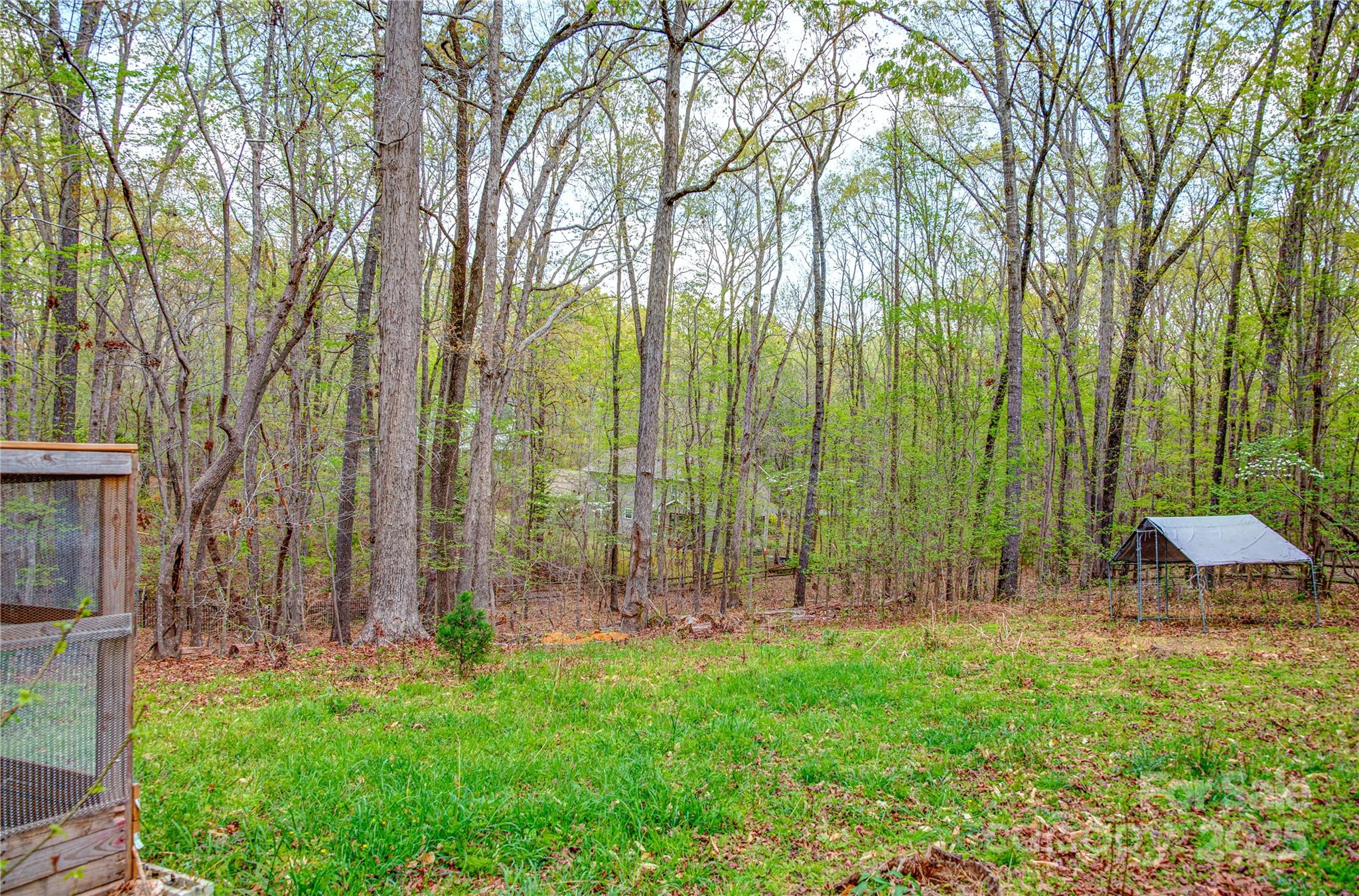 305 Caledonia Way