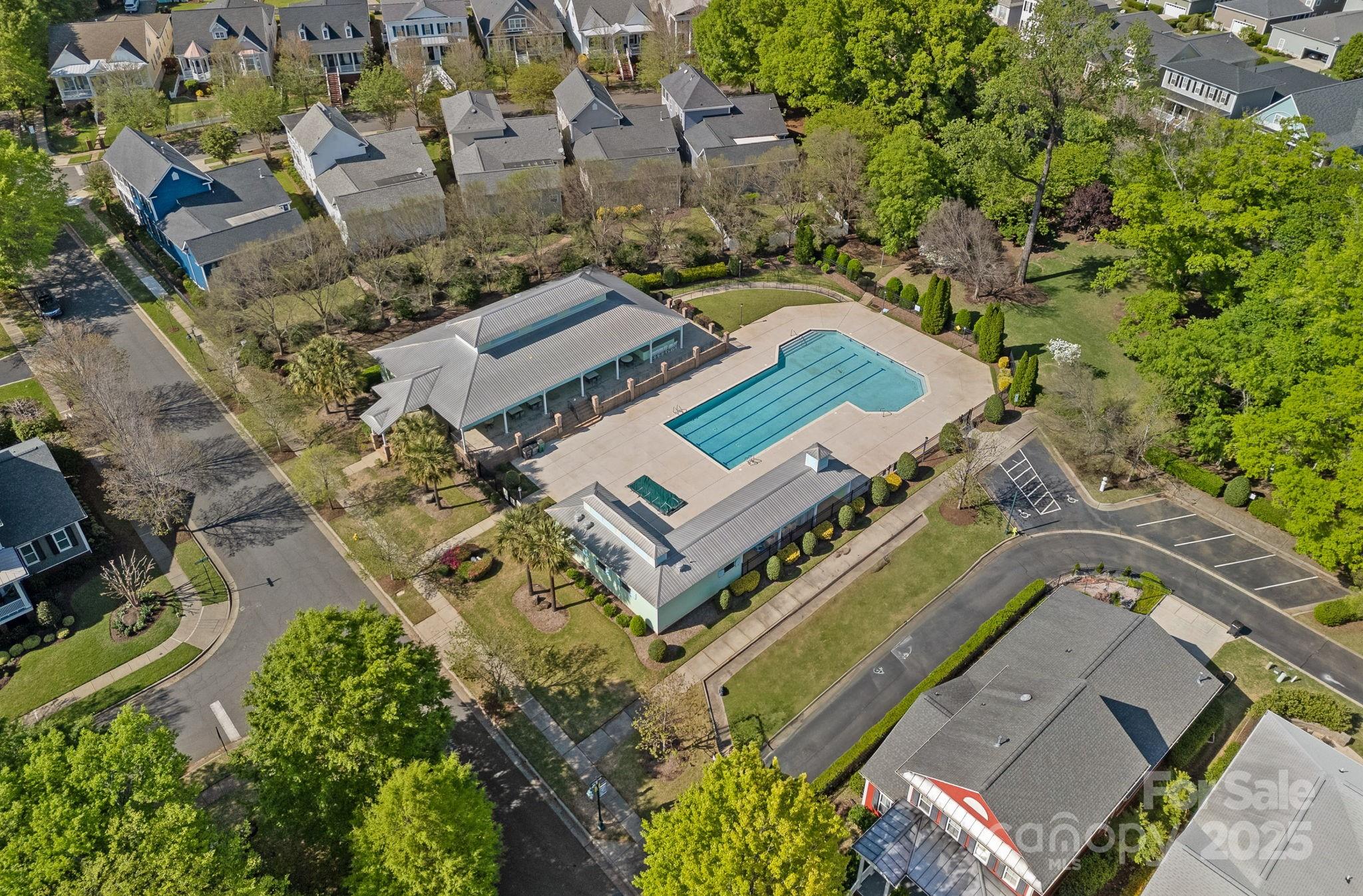 9803 Tree Canopy Road