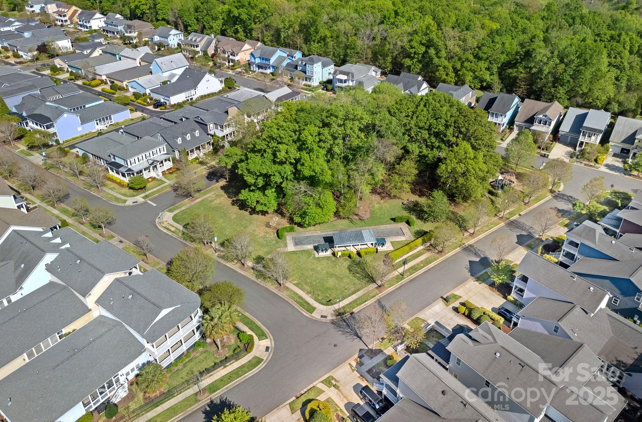 9803 Tree Canopy Road