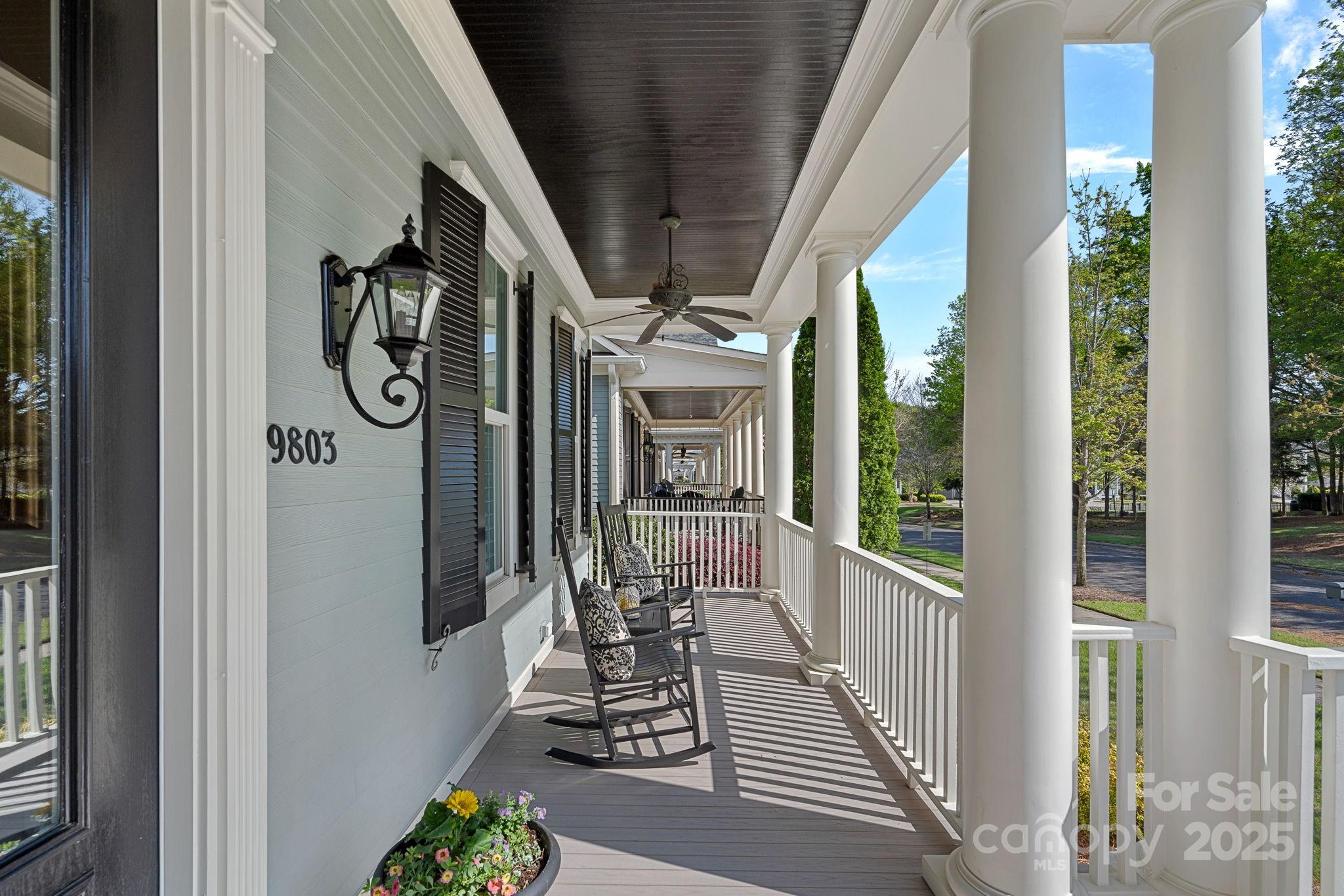 9803 Tree Canopy Road