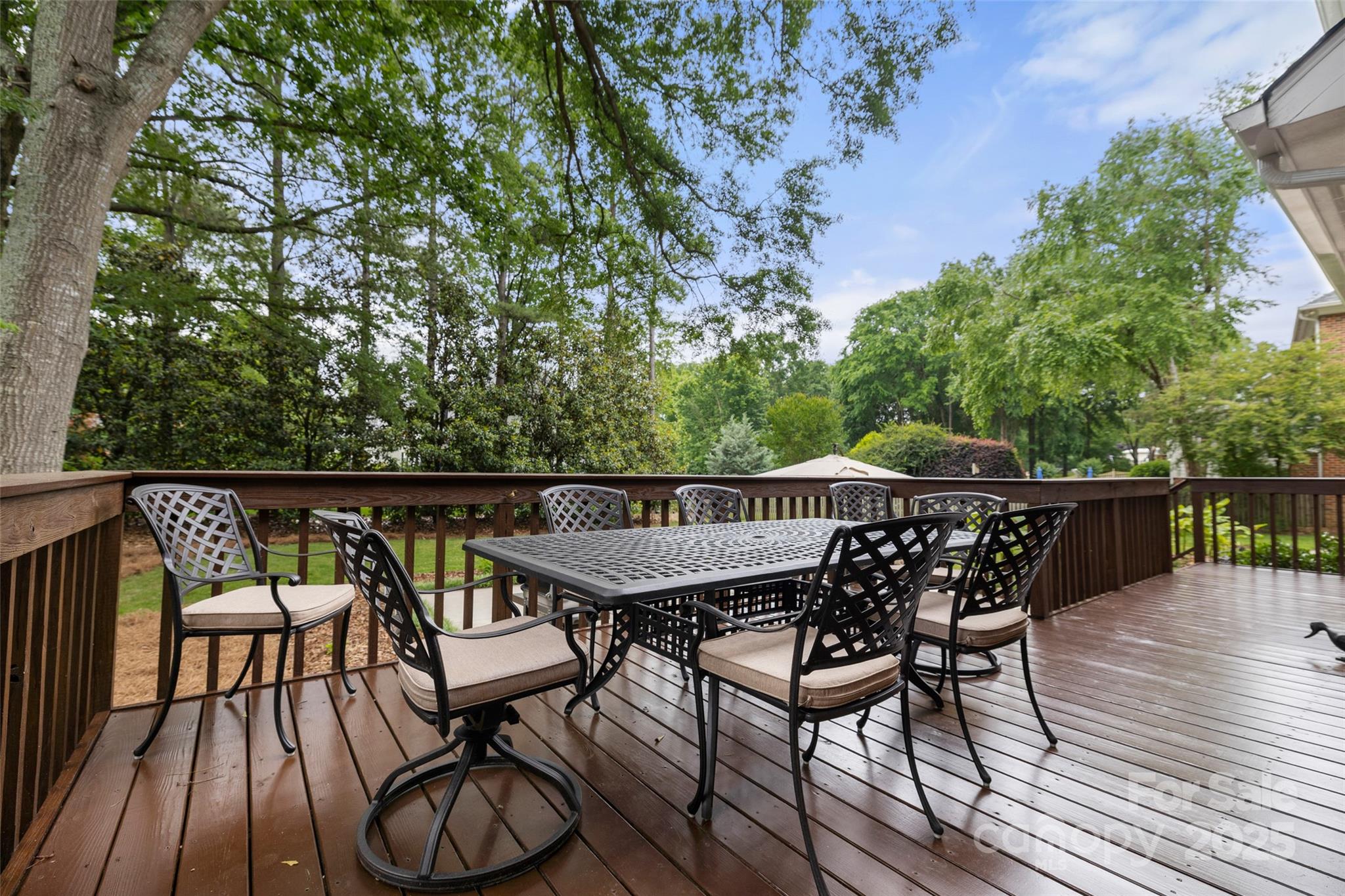 3909 Black Sycamore Drive