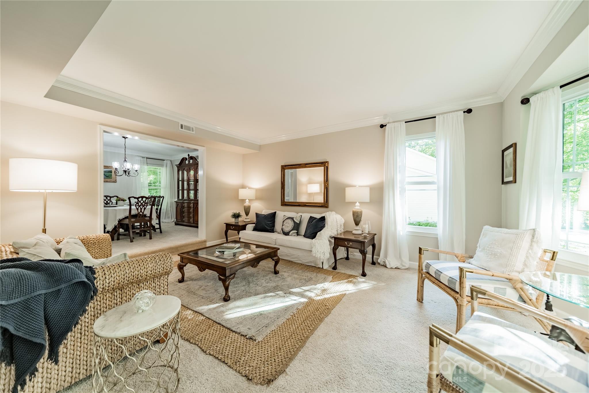 9920 White Cascade Drive