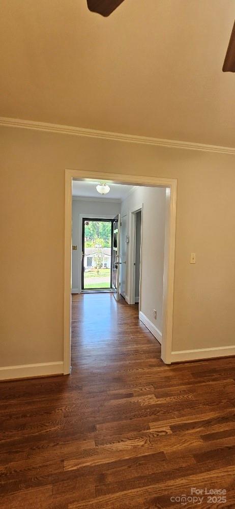 513 Webster Place