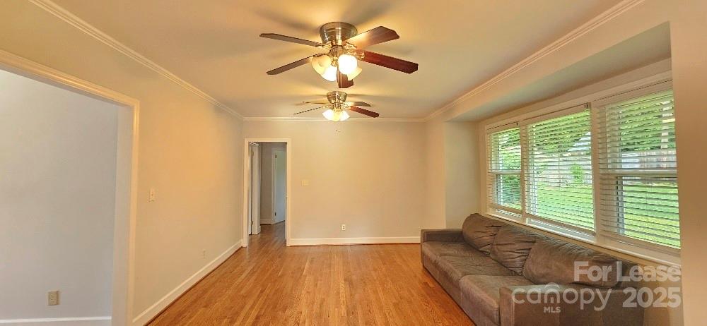513 Webster Place