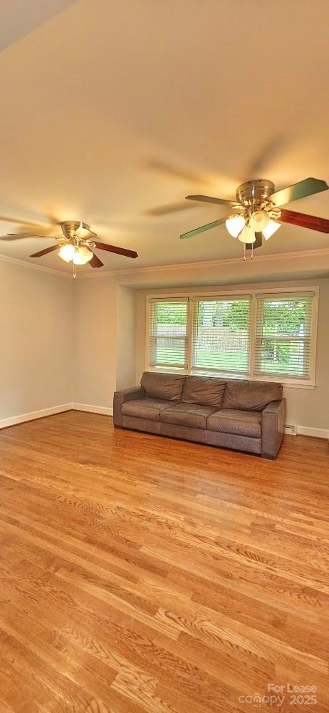 513 Webster Place