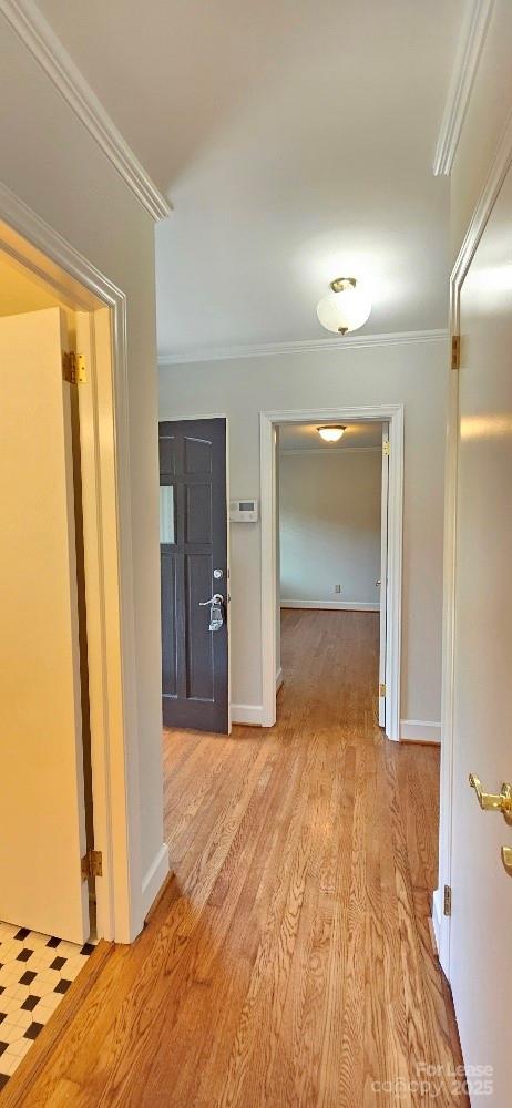 513 Webster Place