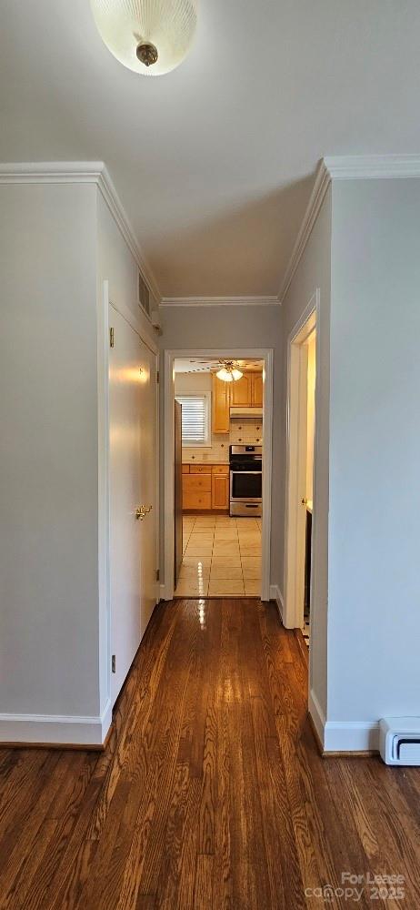 513 Webster Place