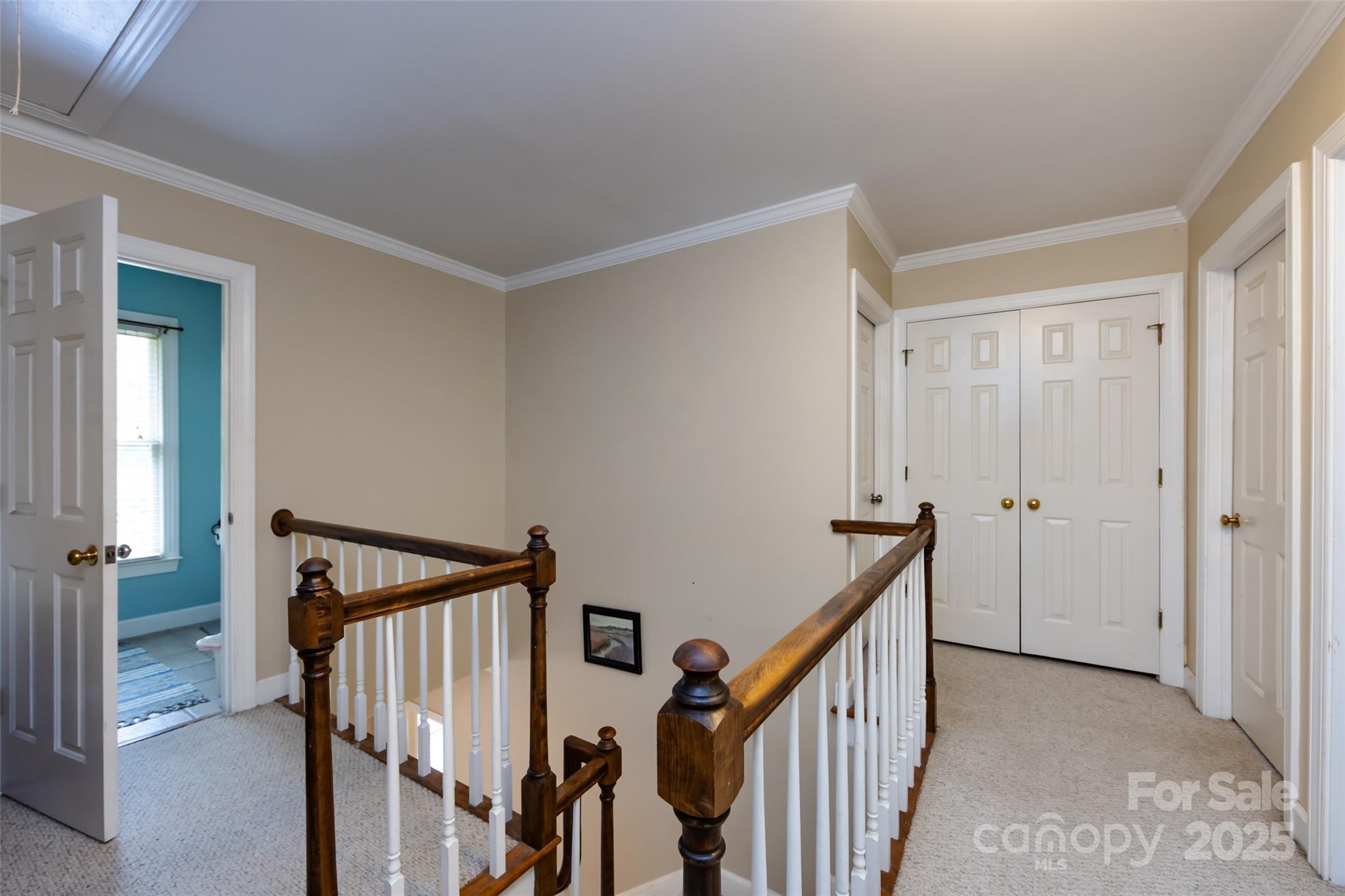 6511 Buggy Whip Lane
