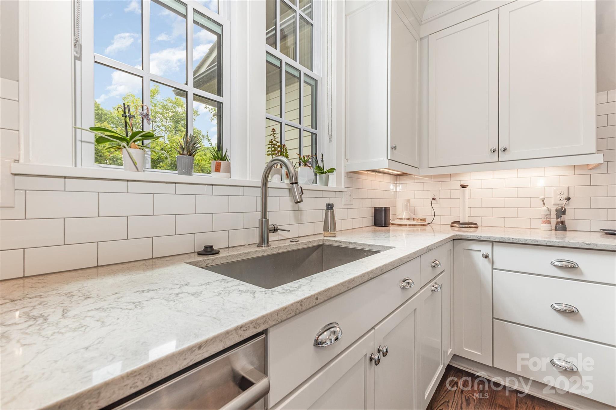 2938 Hillside Springs Drive
