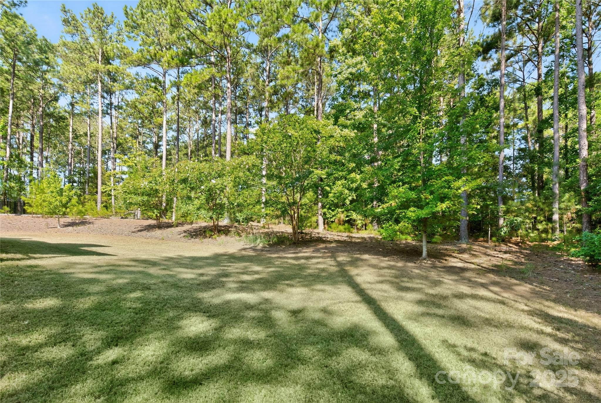 4156 Persimmon Road