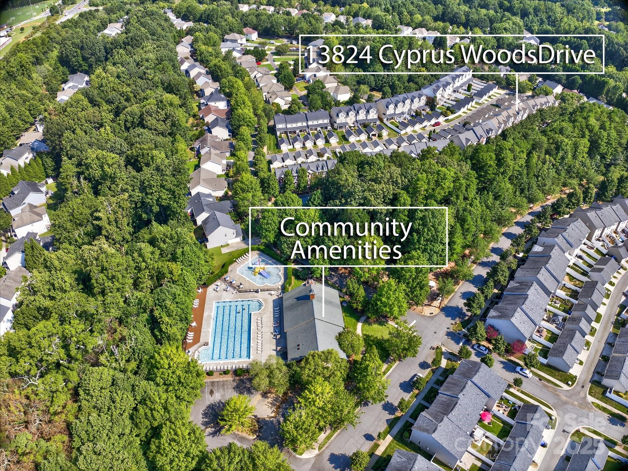 13824 Cypress Woods Drive