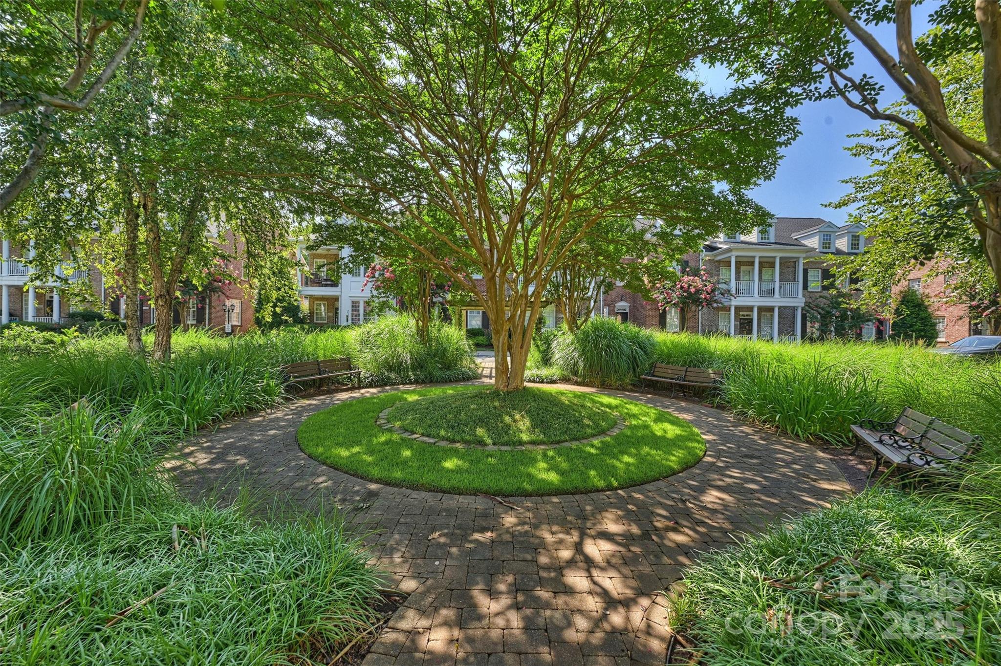 8238 Indigo Row