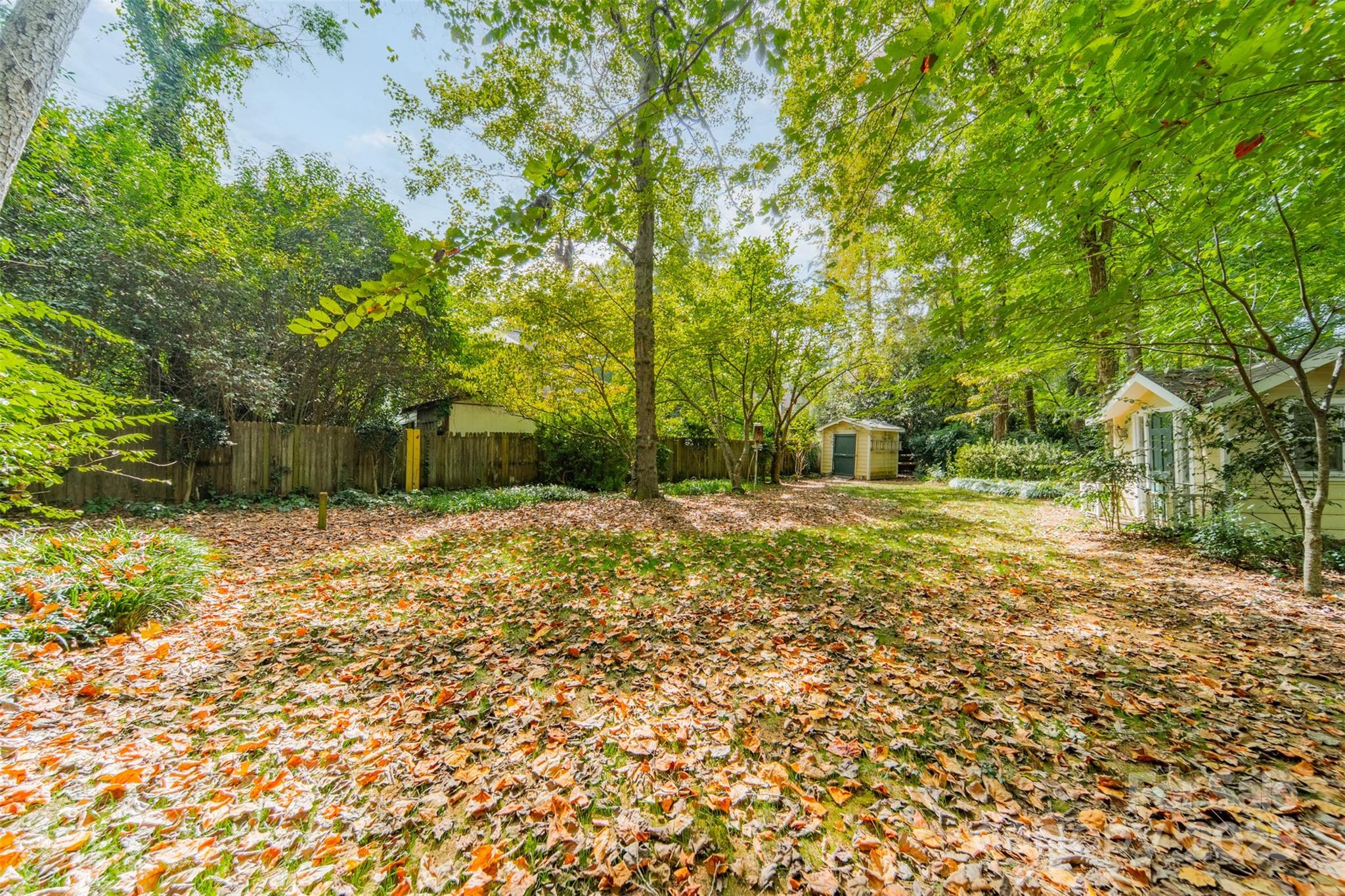 127 Cabell Way