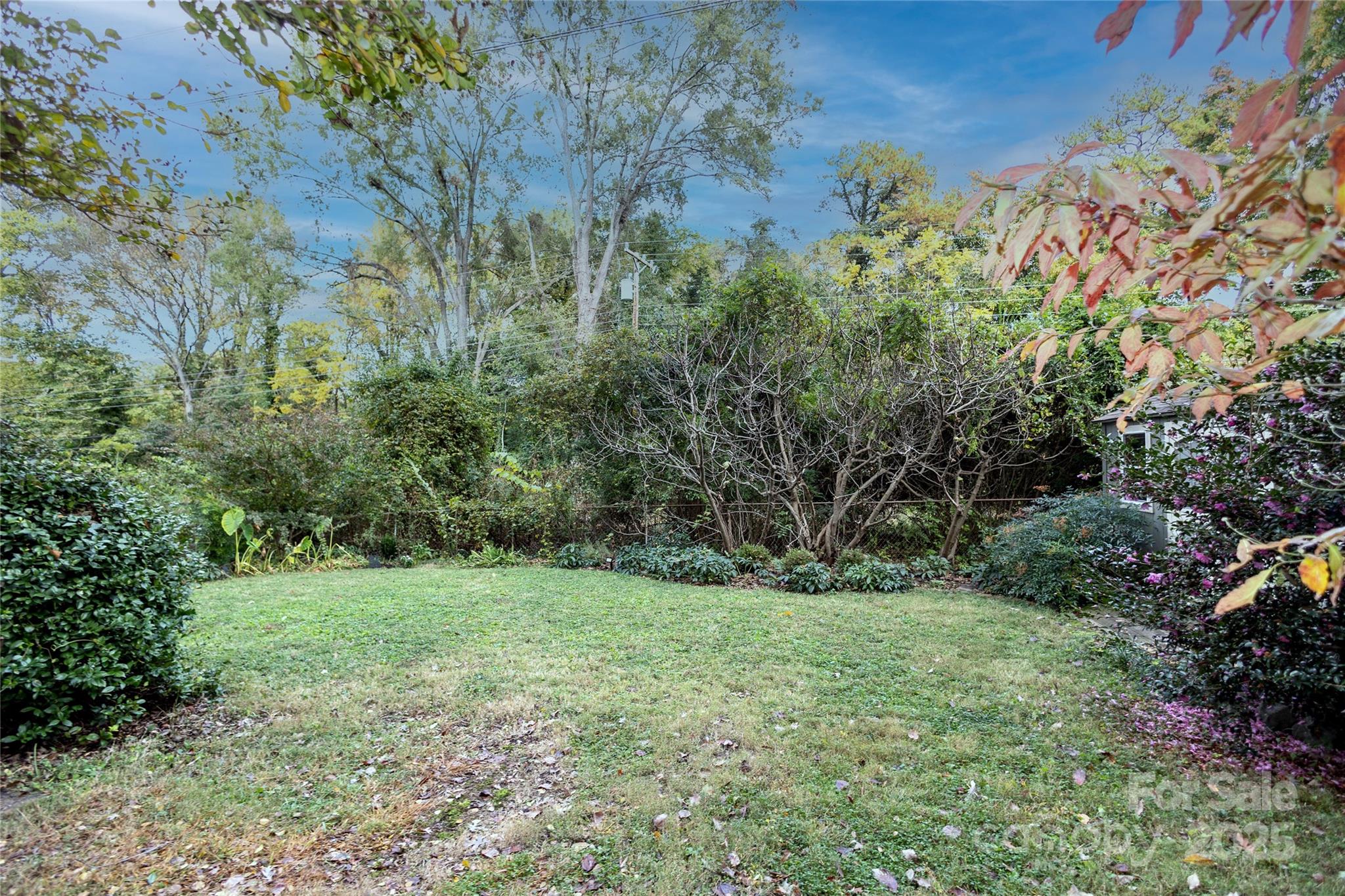 5009 Baylor Drive