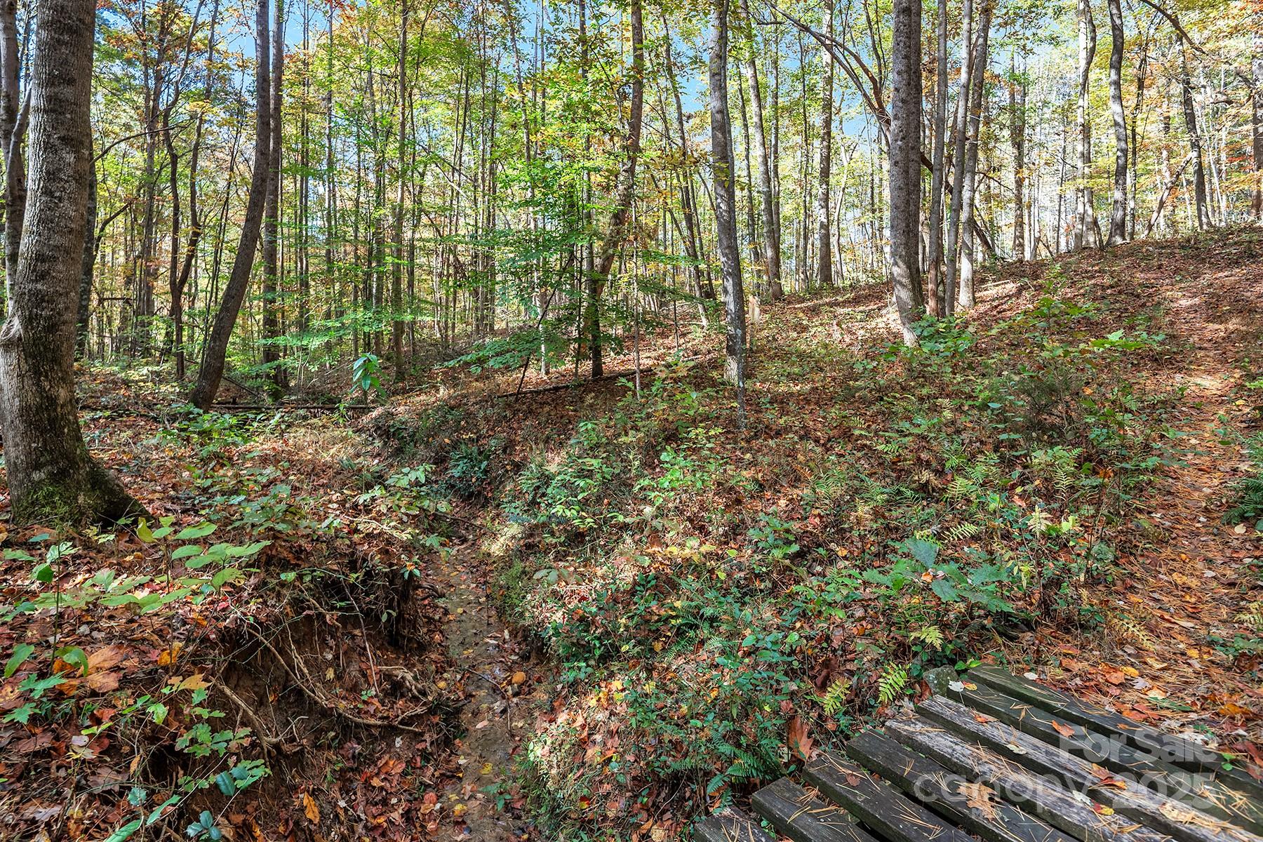 481 Eupeptic Springs Road