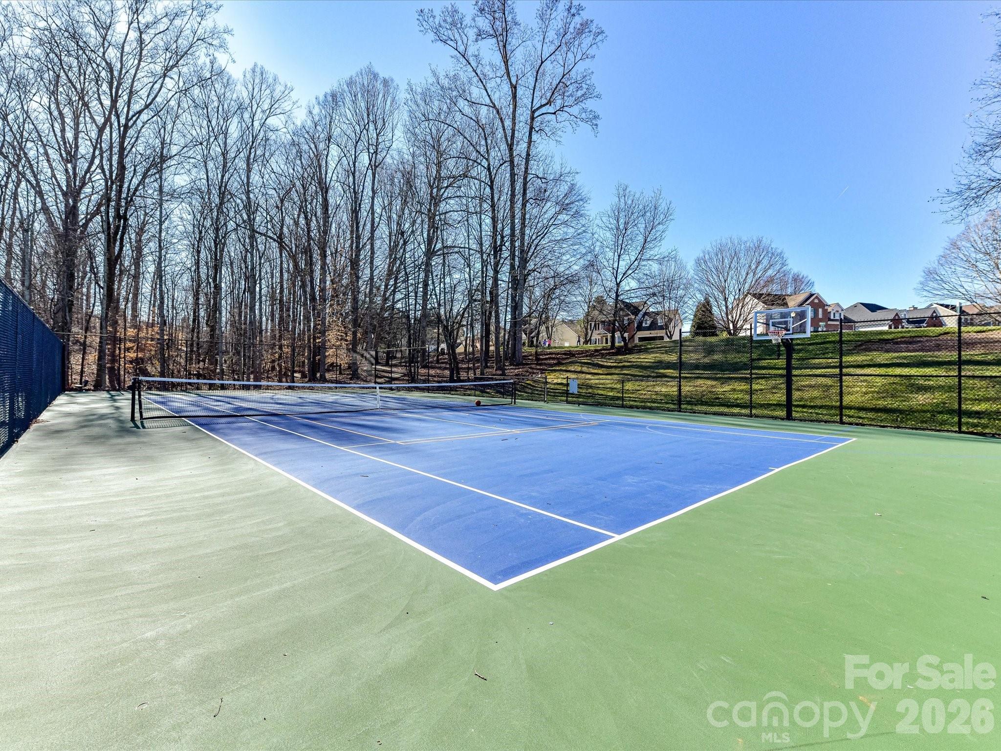 103 Spartina Court