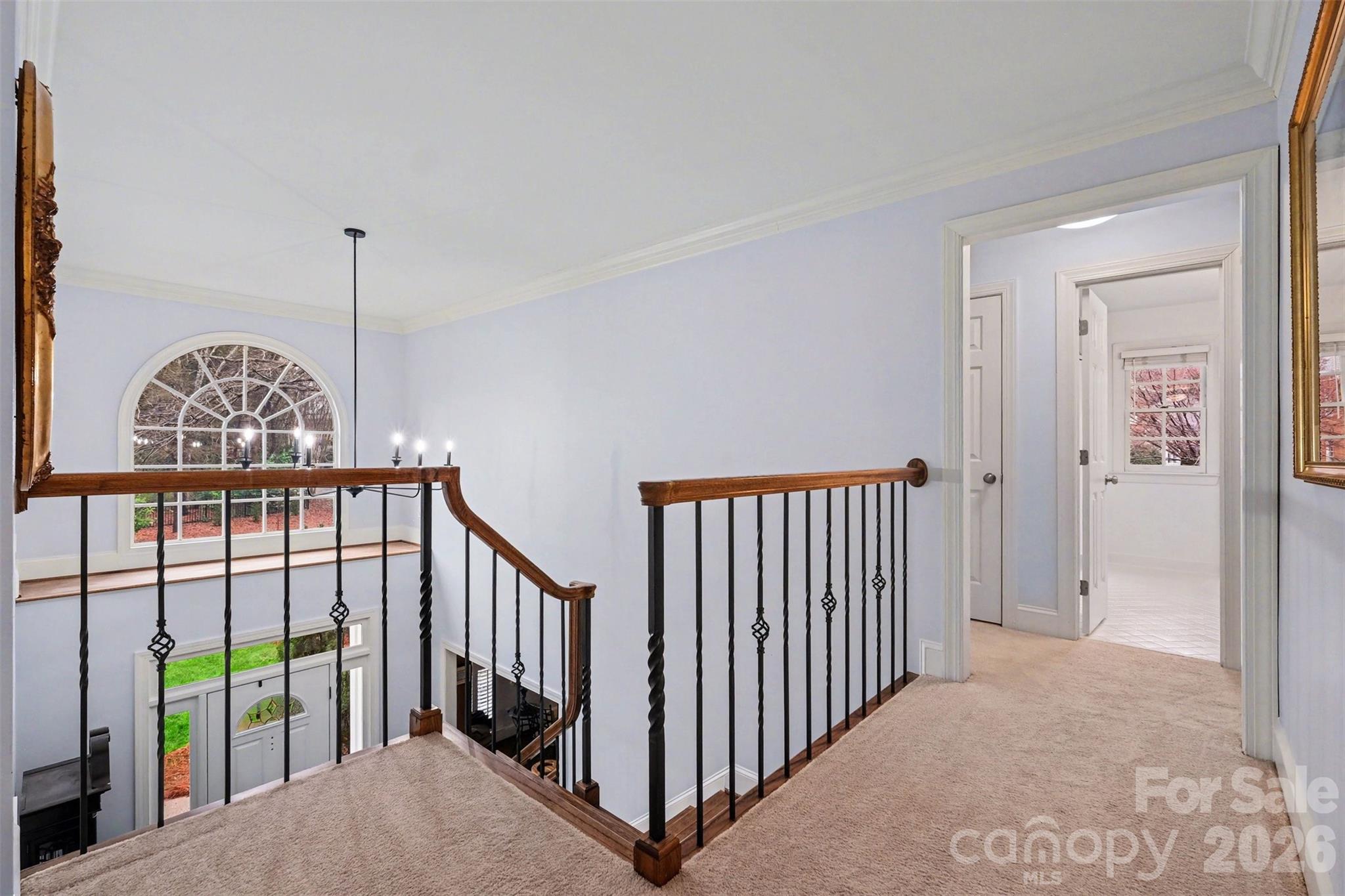 5019 Cranston Court