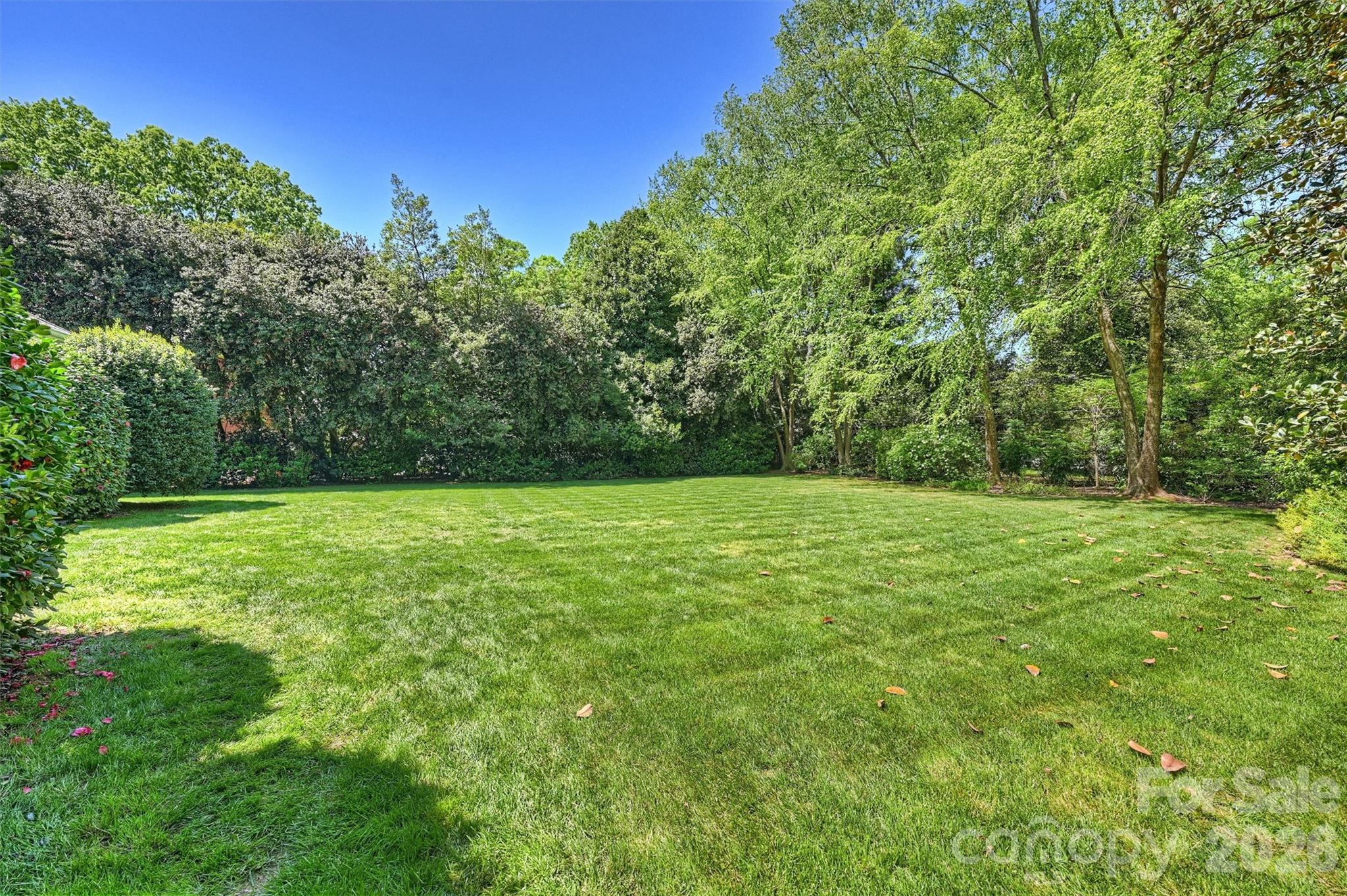 812 Ardsley Road