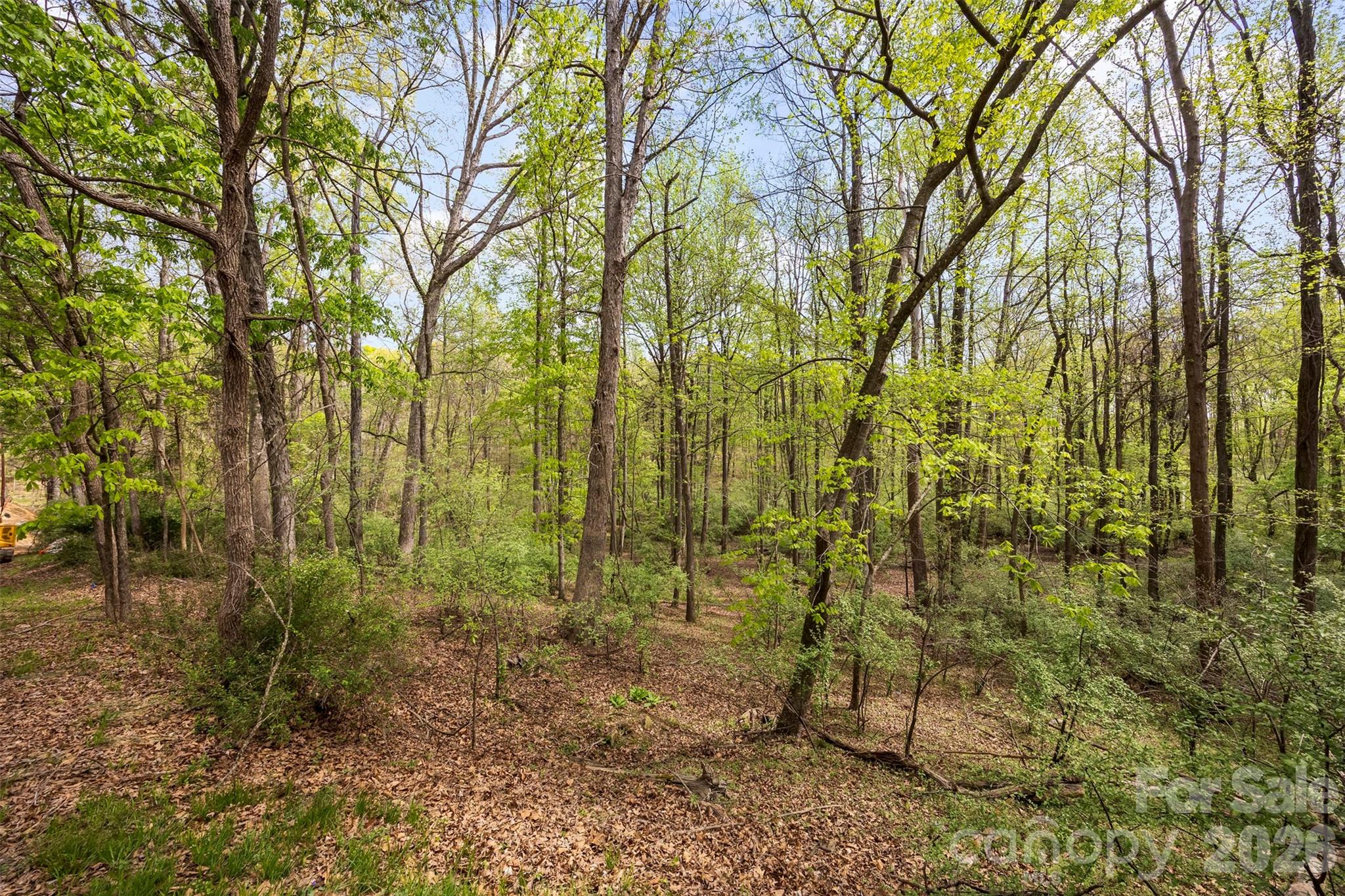 10601 Wildlife Road