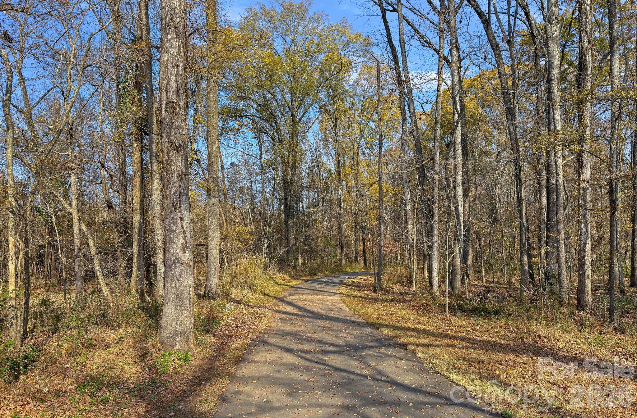 206 Meadowbrook Road