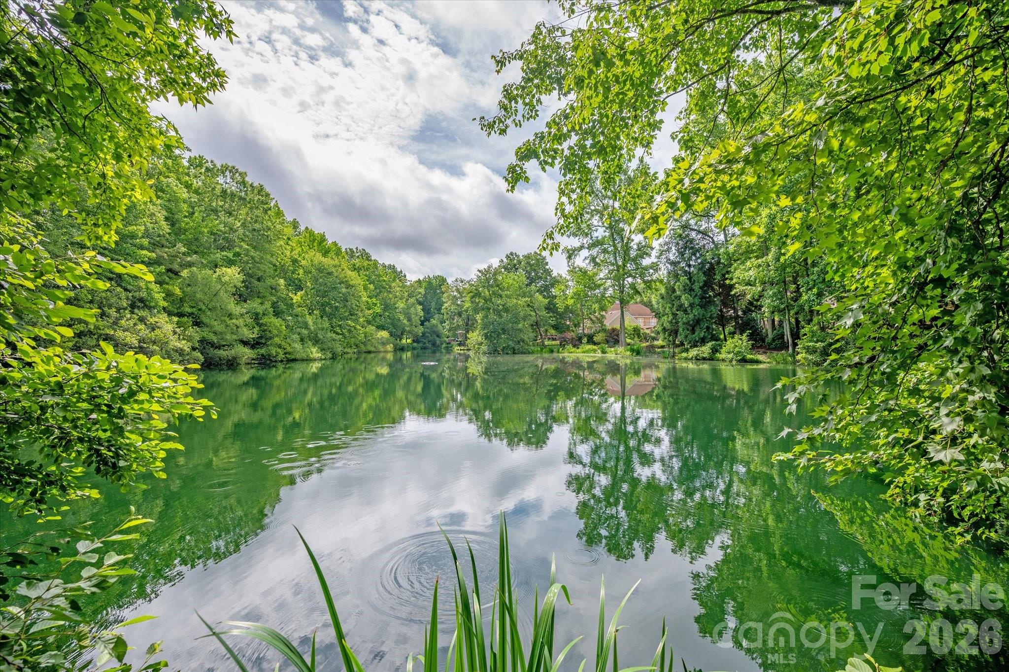 8709 Victory Gallop Court