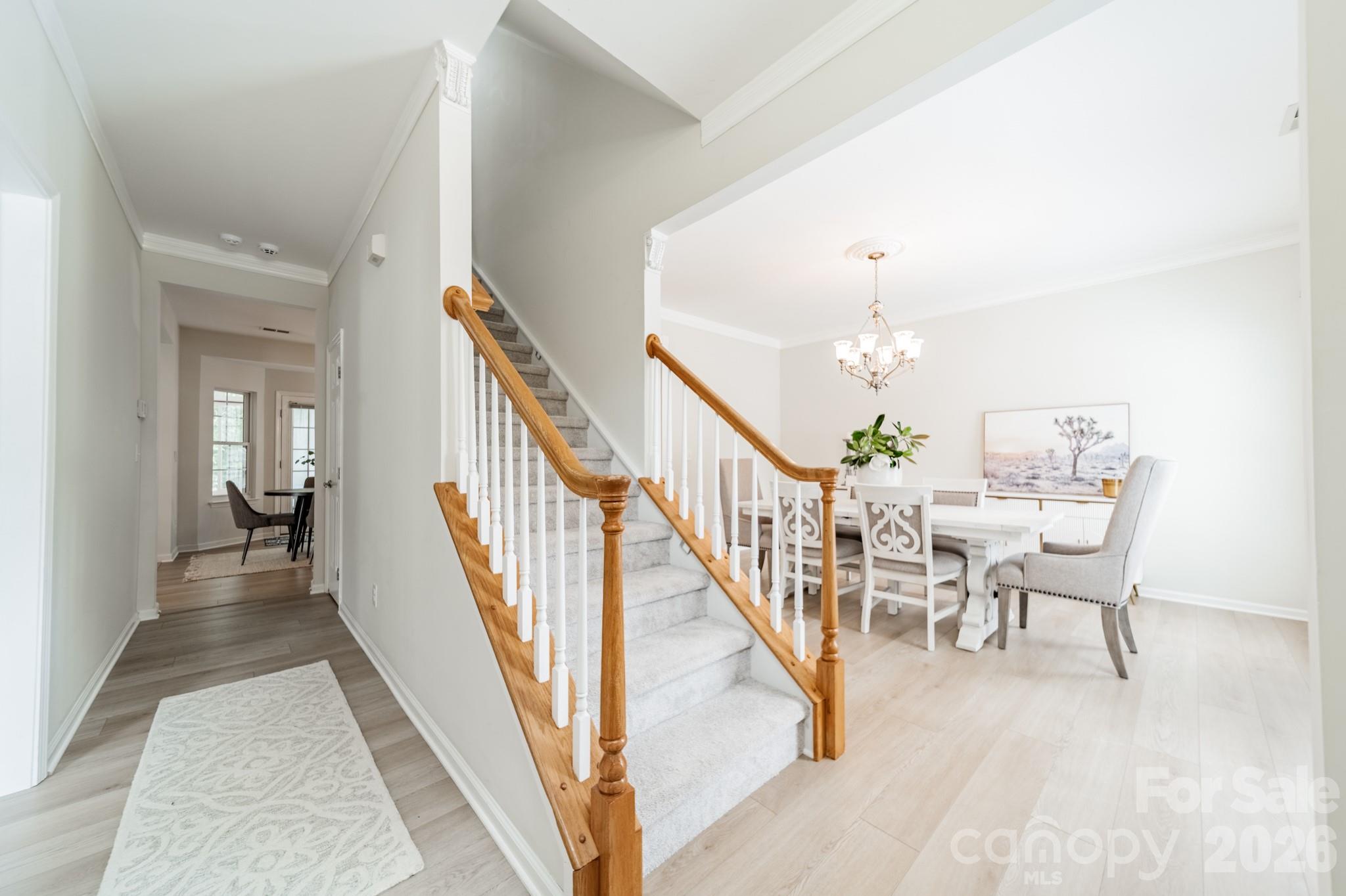 13405 Honeytree Lane