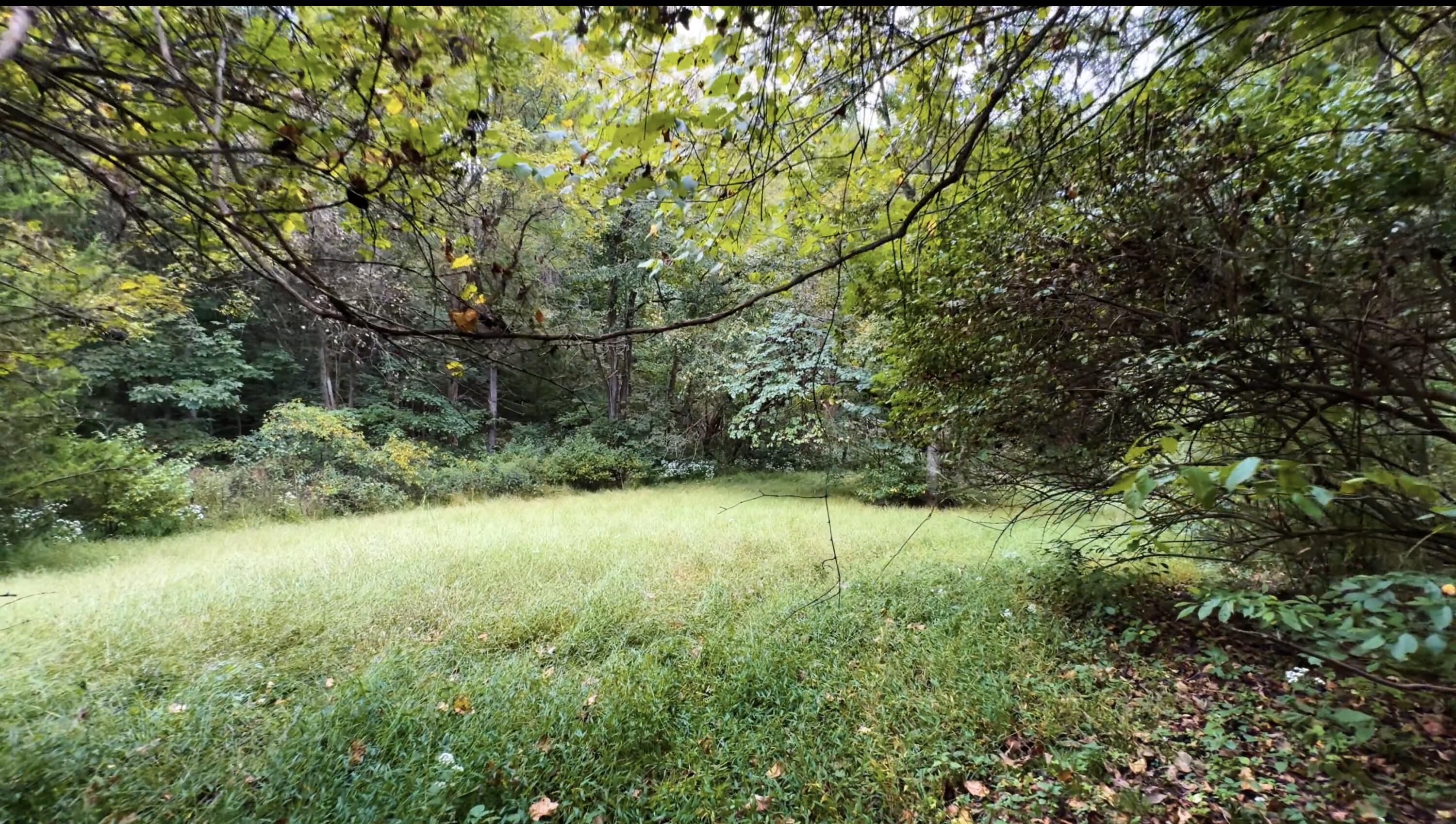 121 Forest Drive