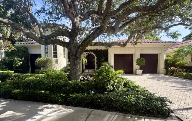 11207 ORANGE HIBISCUS Lane