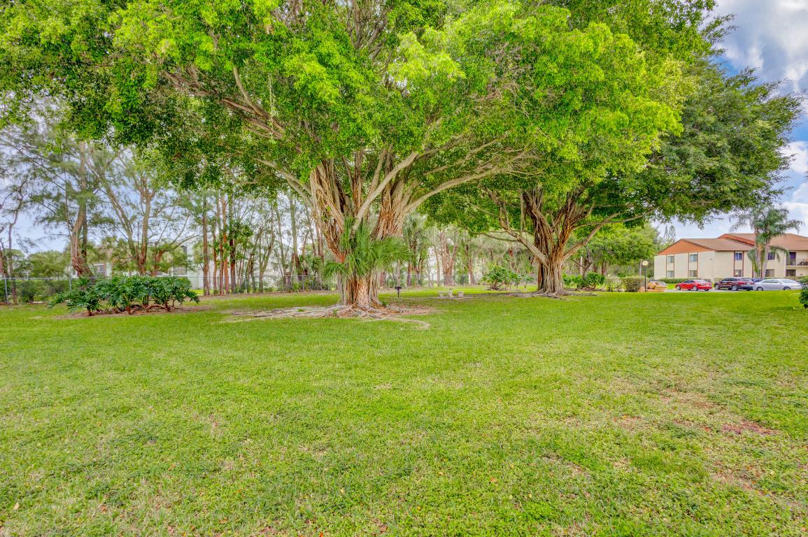 4829 Sable Pine Circle C1