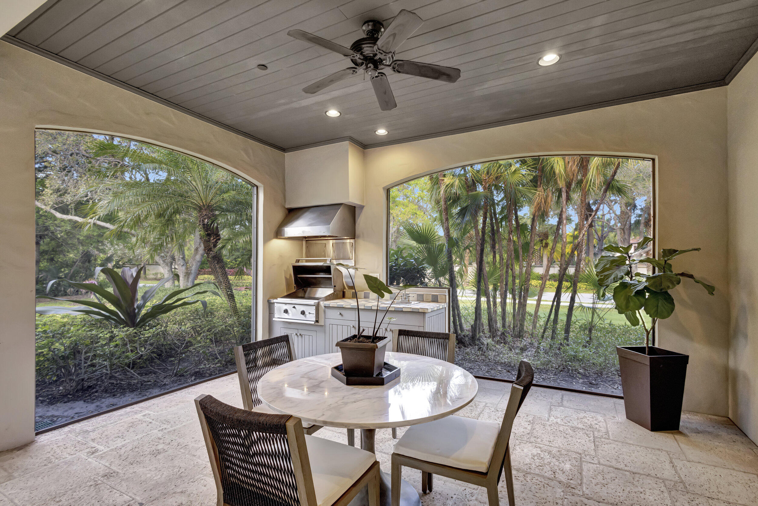 216 Royal Tern