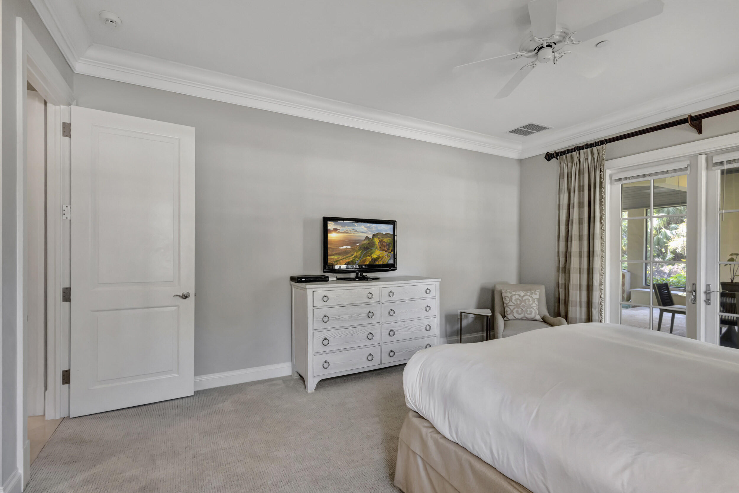 216 Royal Tern