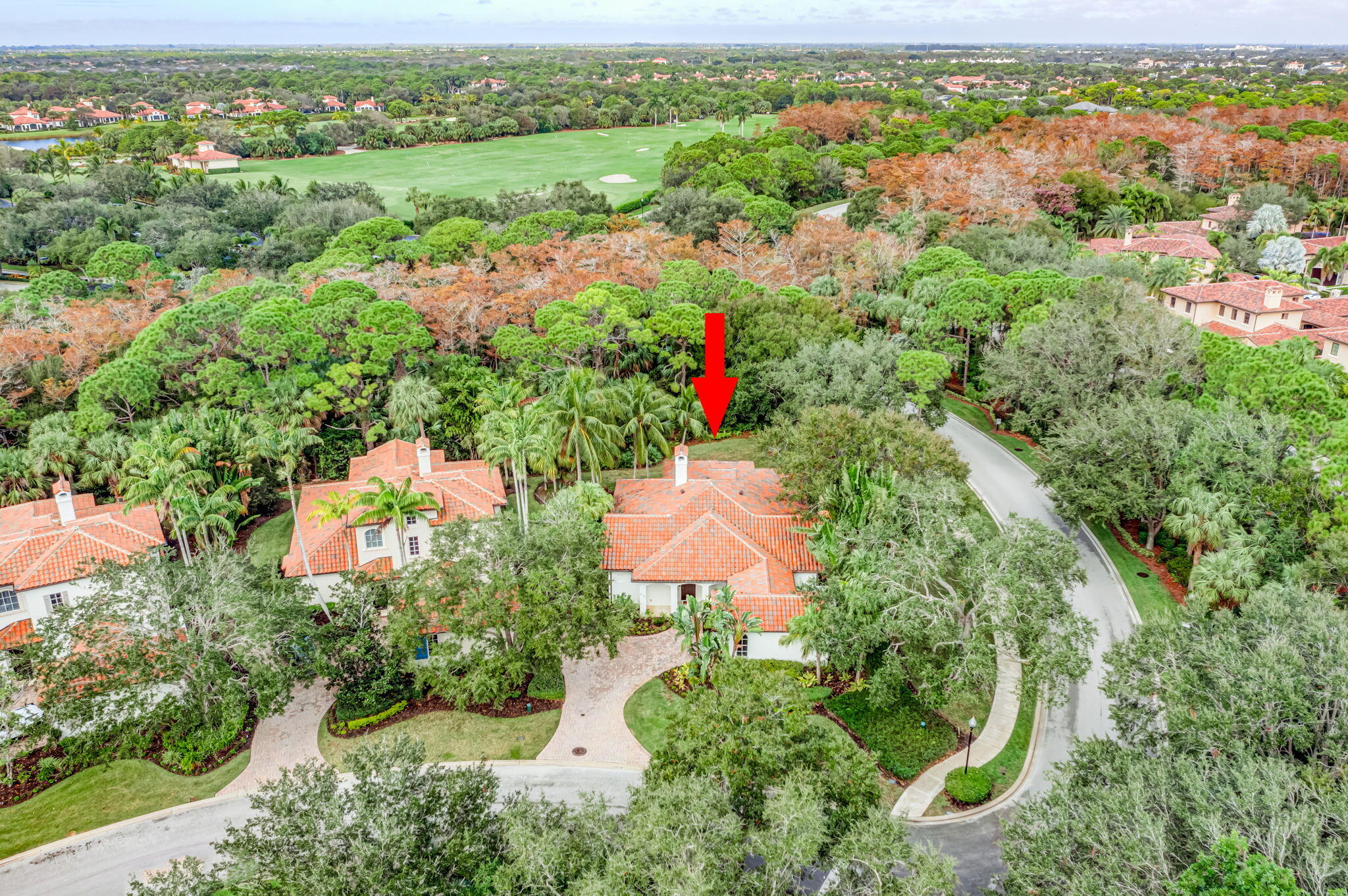 216 Royal Tern Court
