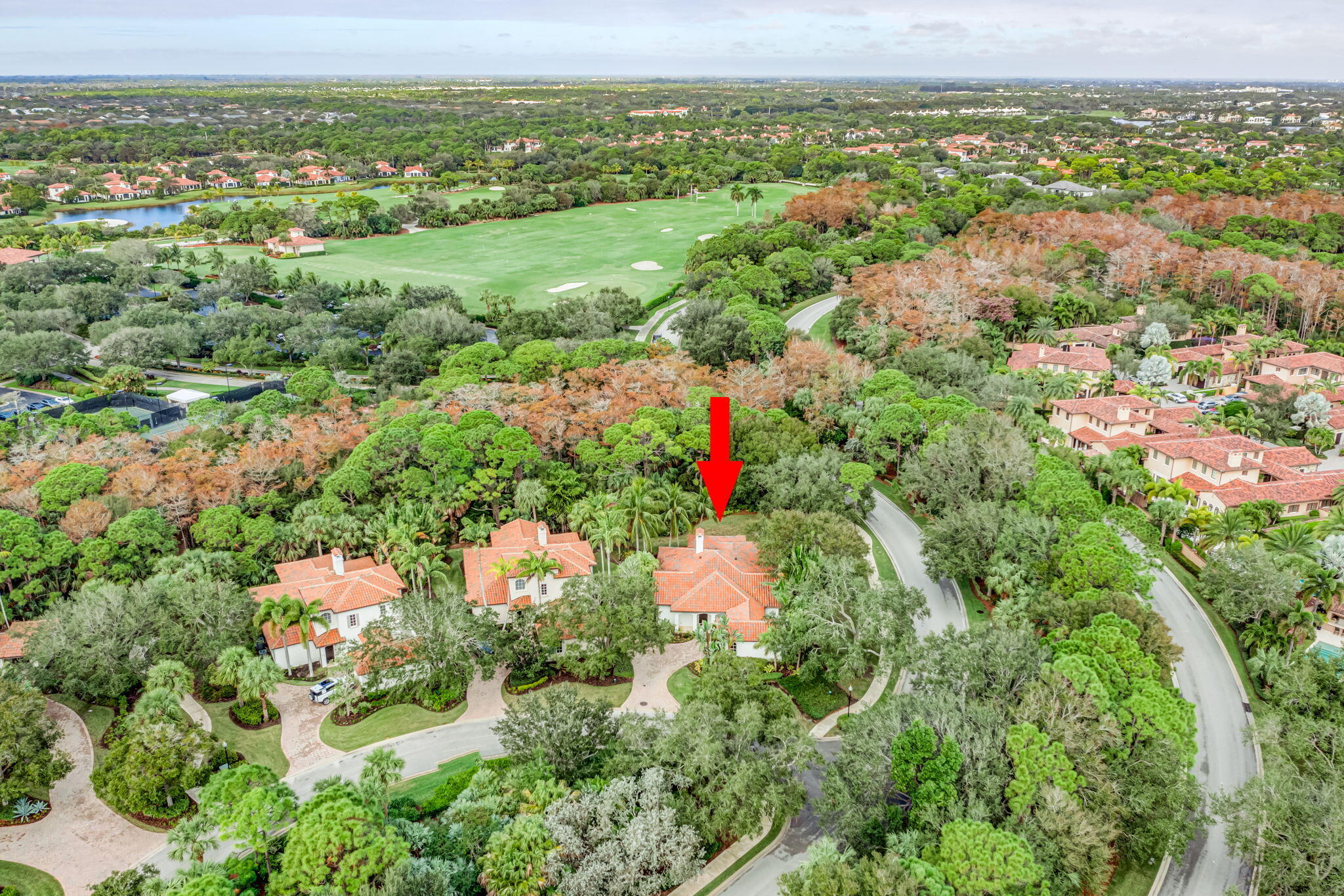 216 Royal Tern Court