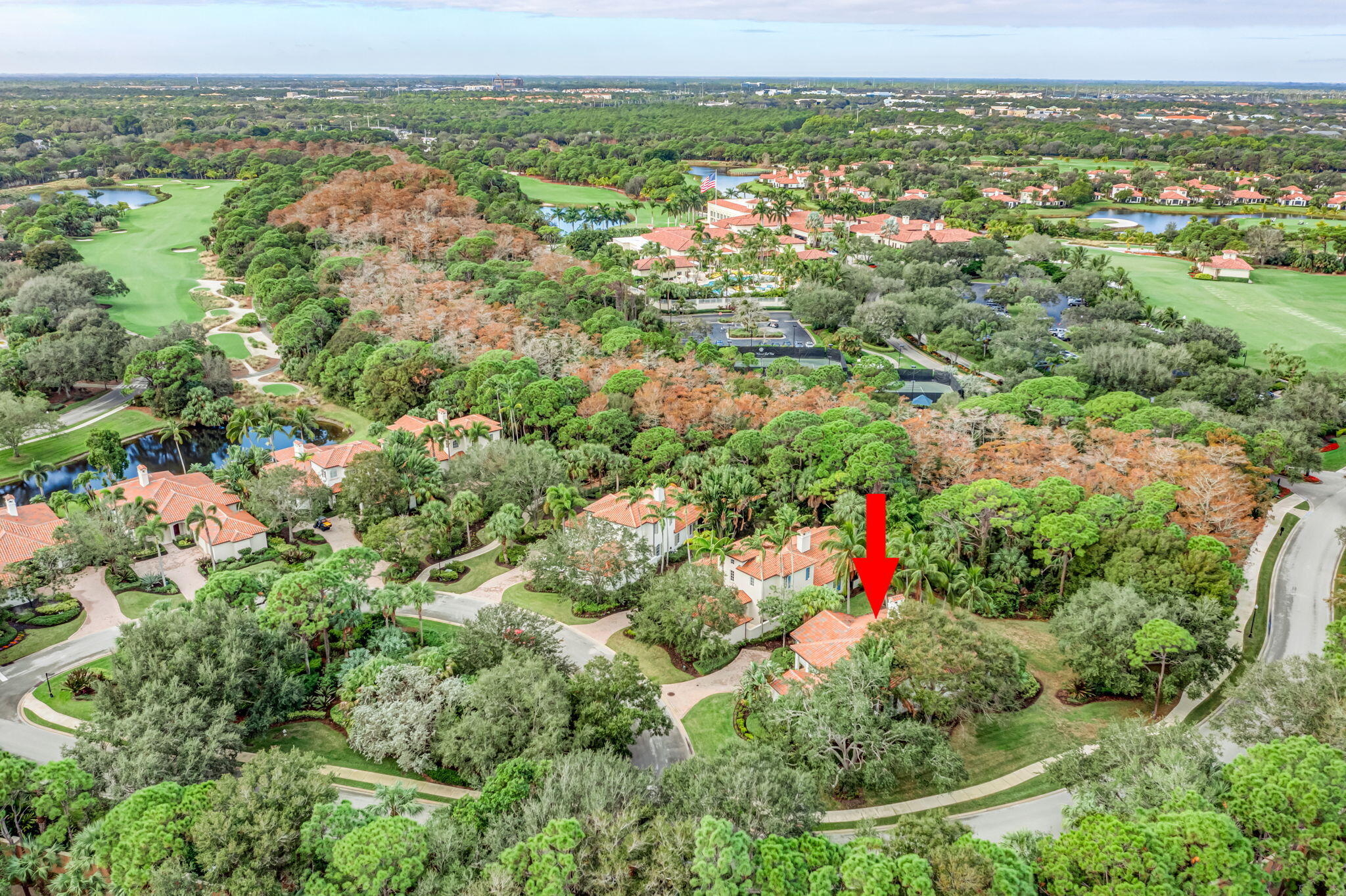 216 Royal Tern Court