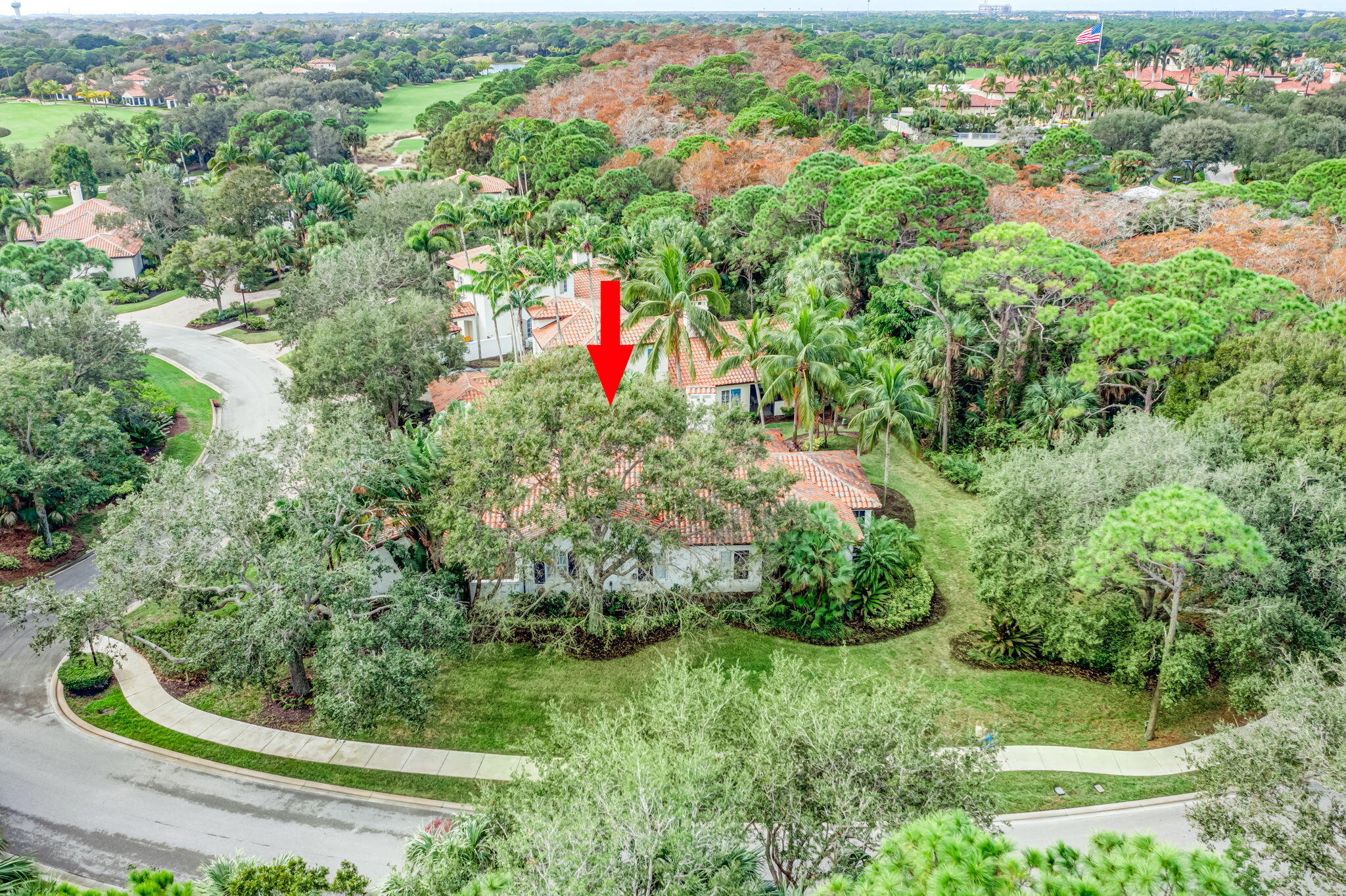 216 Royal Tern Court