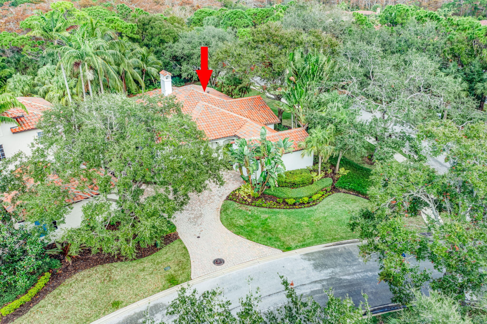 216 Royal Tern Court