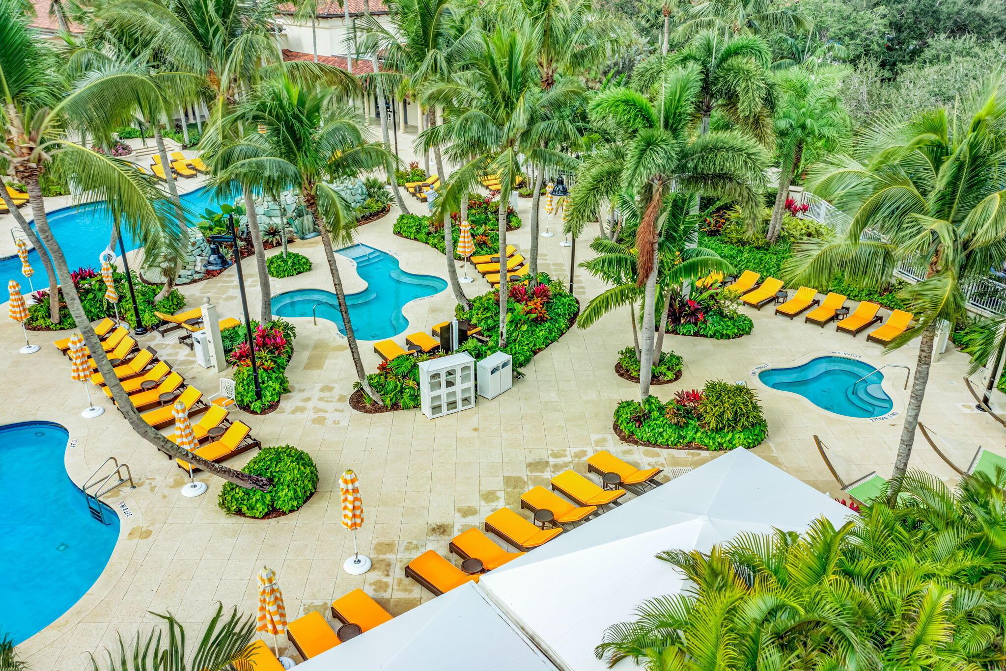 216 Royal Tern Court