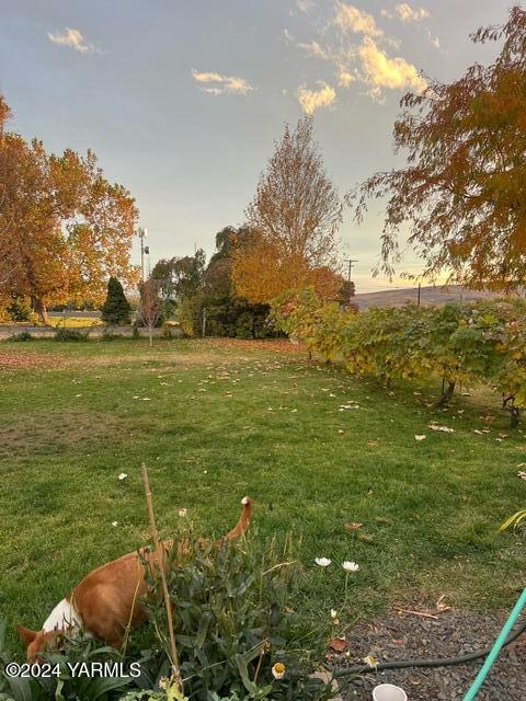 6237 Naches Heights Rd
