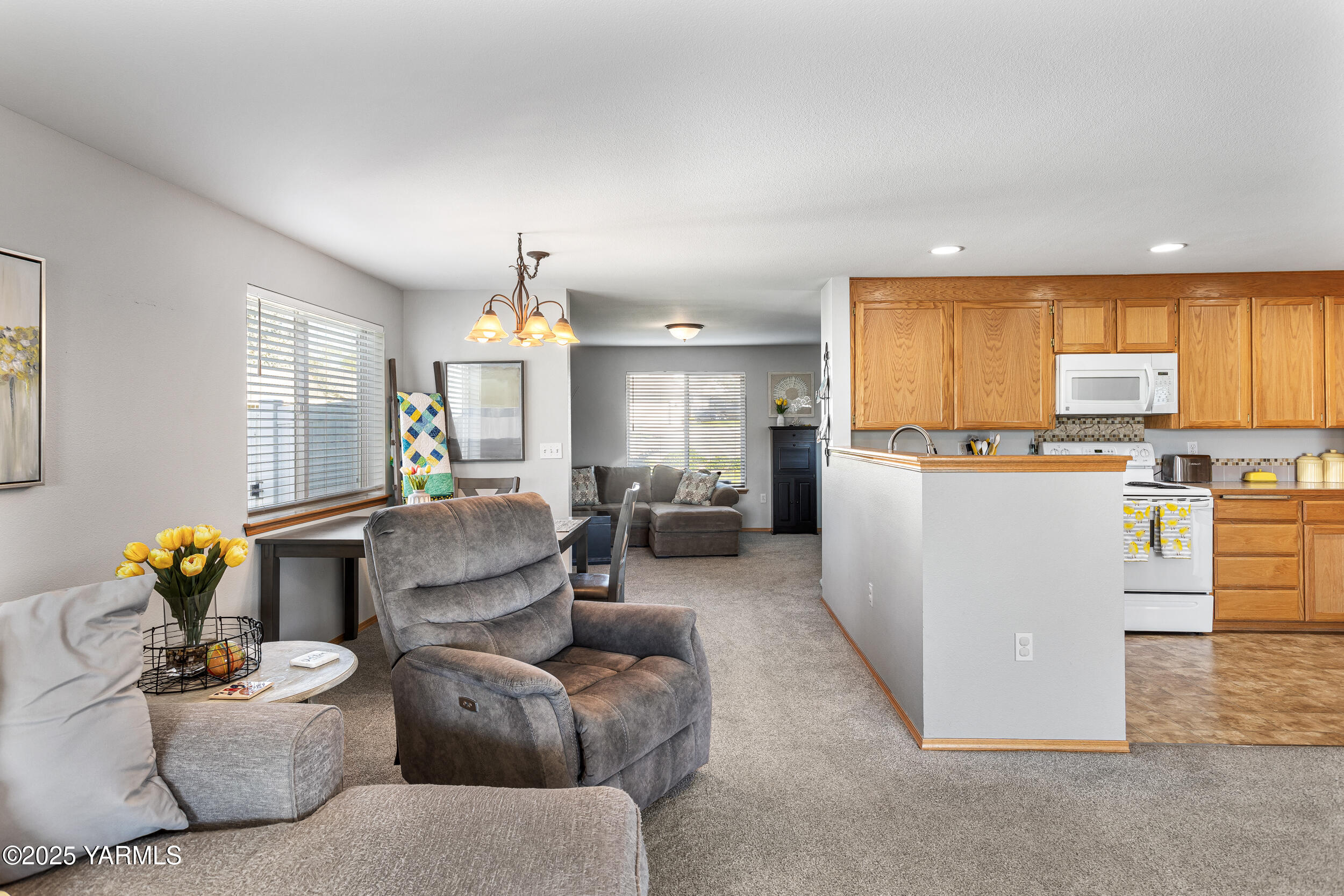 1115 Reo Dr