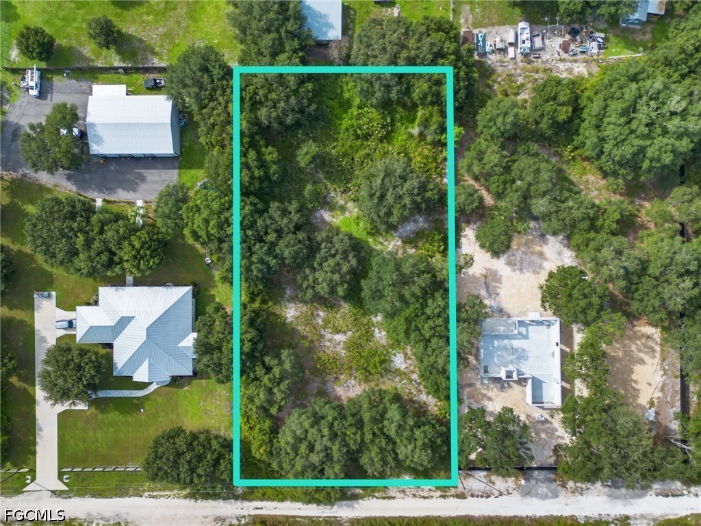 Aerial view of a wooded vacant lot outlined in teal beside neighboring homes and a road.