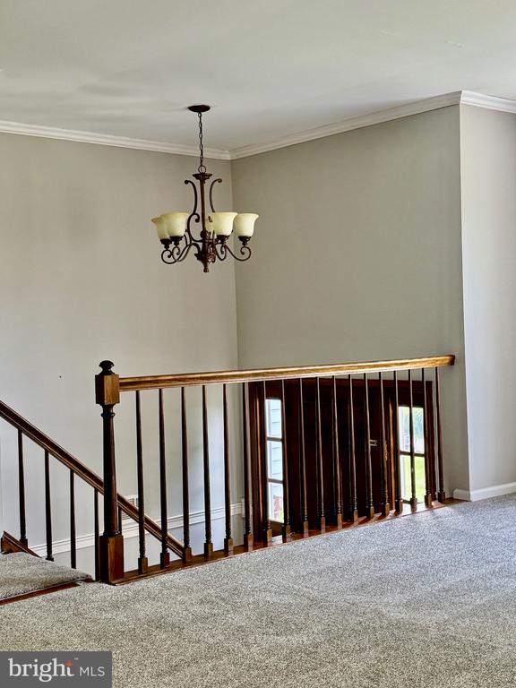 35 BEVERLY DRIVE