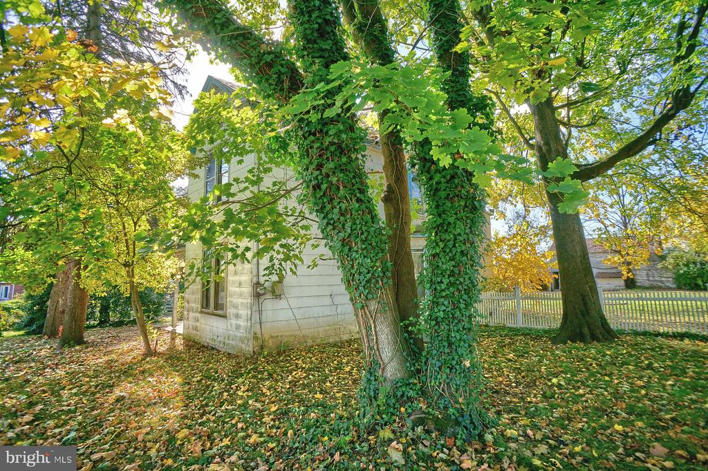 118 S Locust St