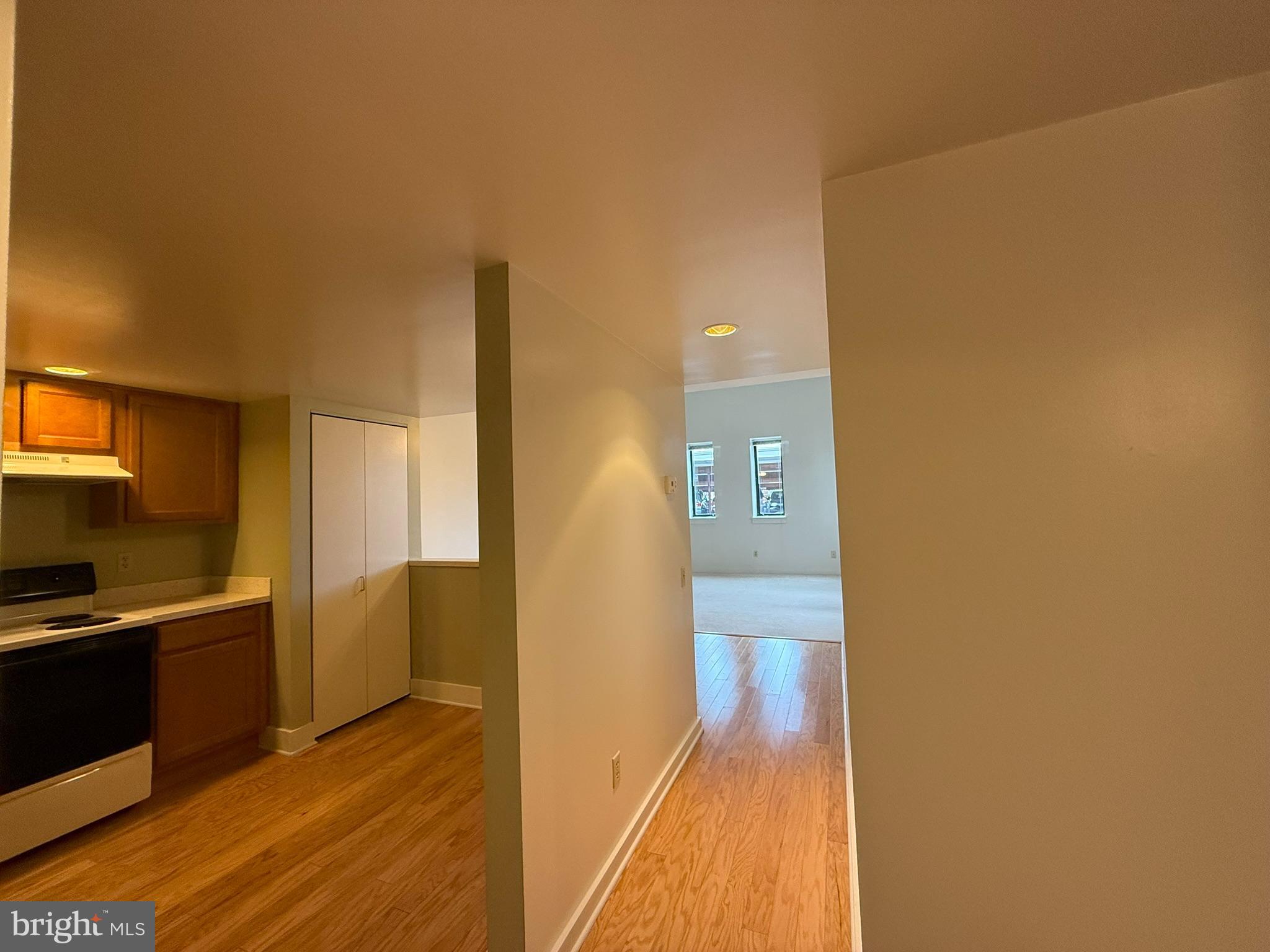 133 W Locust St #C-02