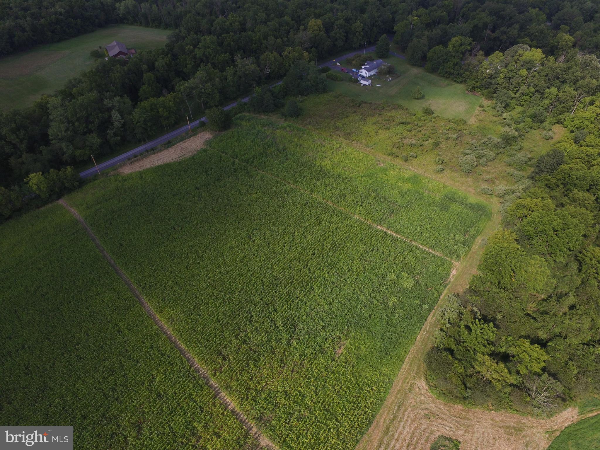 250 WILLOW MILL PARK ROAD