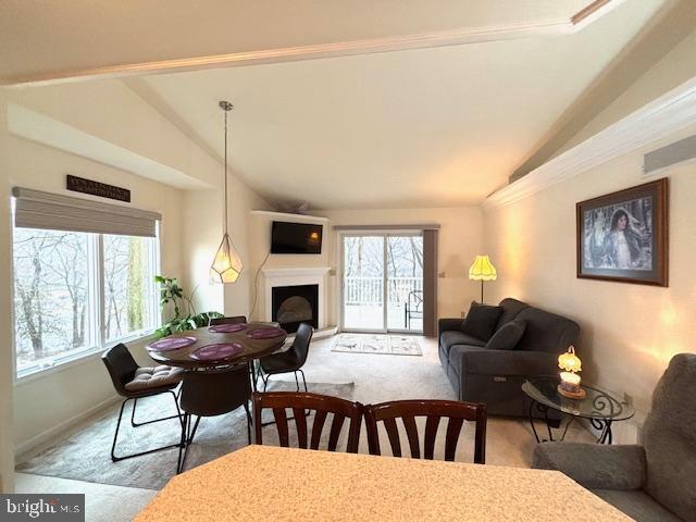 583 ARIEL COURT