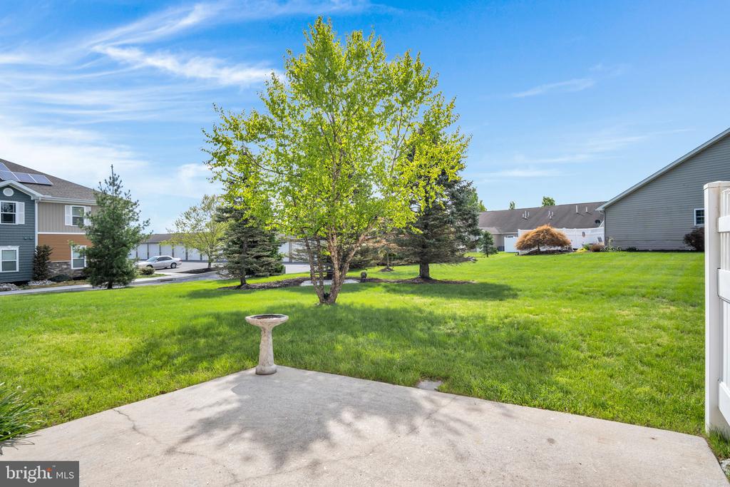 206 BRIGHTON DRIVE