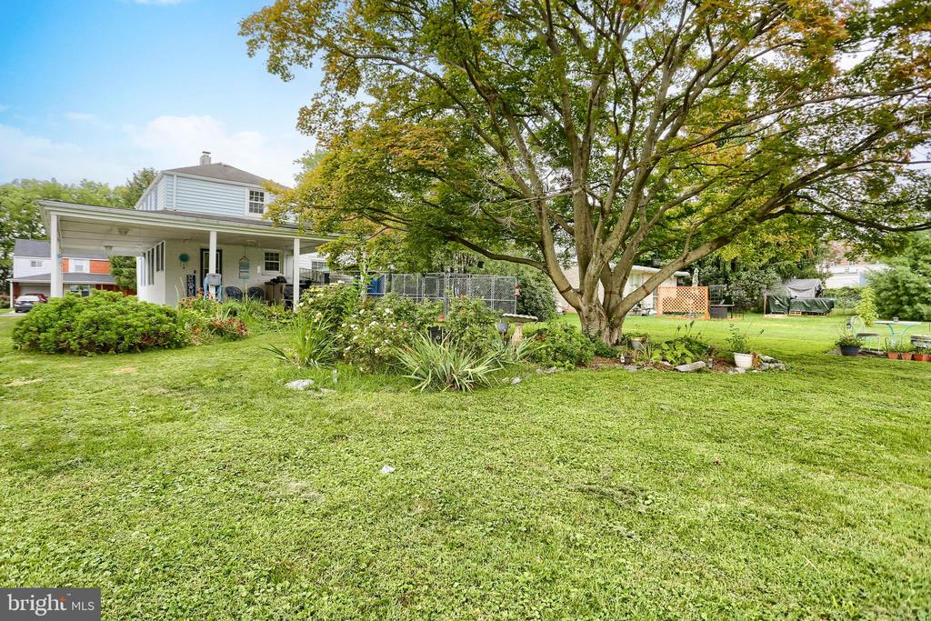 25 MAPLE AVENUE