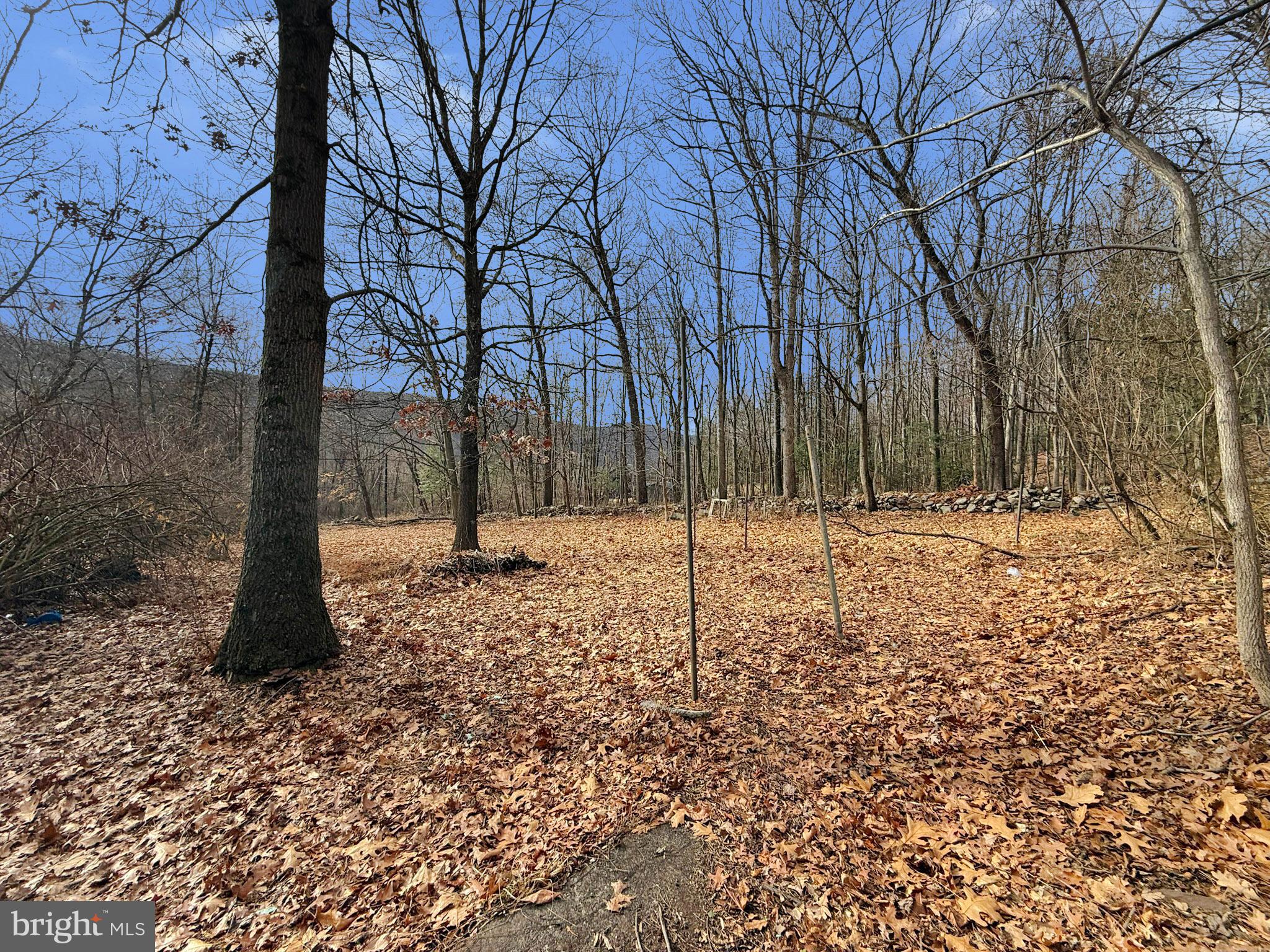 1500 POTTSVILLE STREET