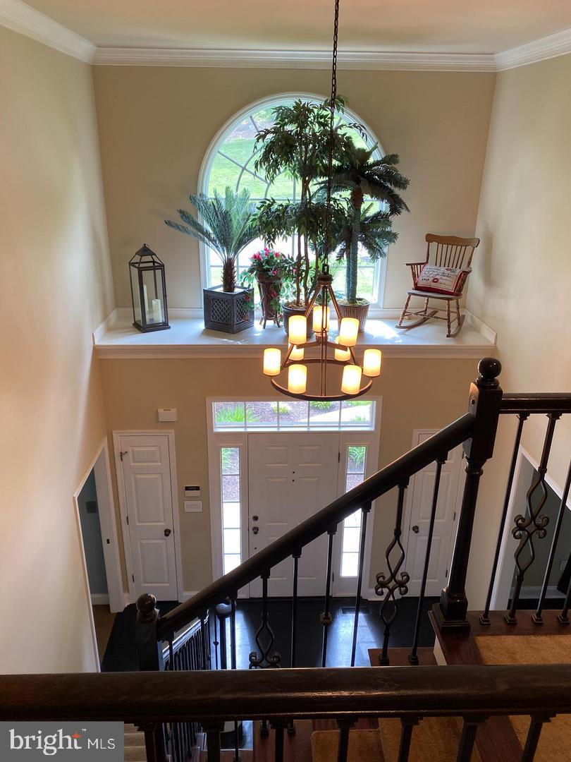 612 Black Powder Dr